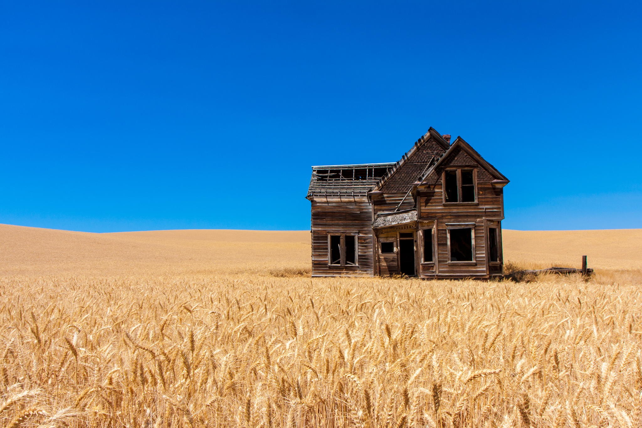 General 2048x1365 landscape wheat plants photo manipulation photography old building abandoned house sky sky blue blue crops yellow clear sky sunlight calm field Agro (Plants) ruins