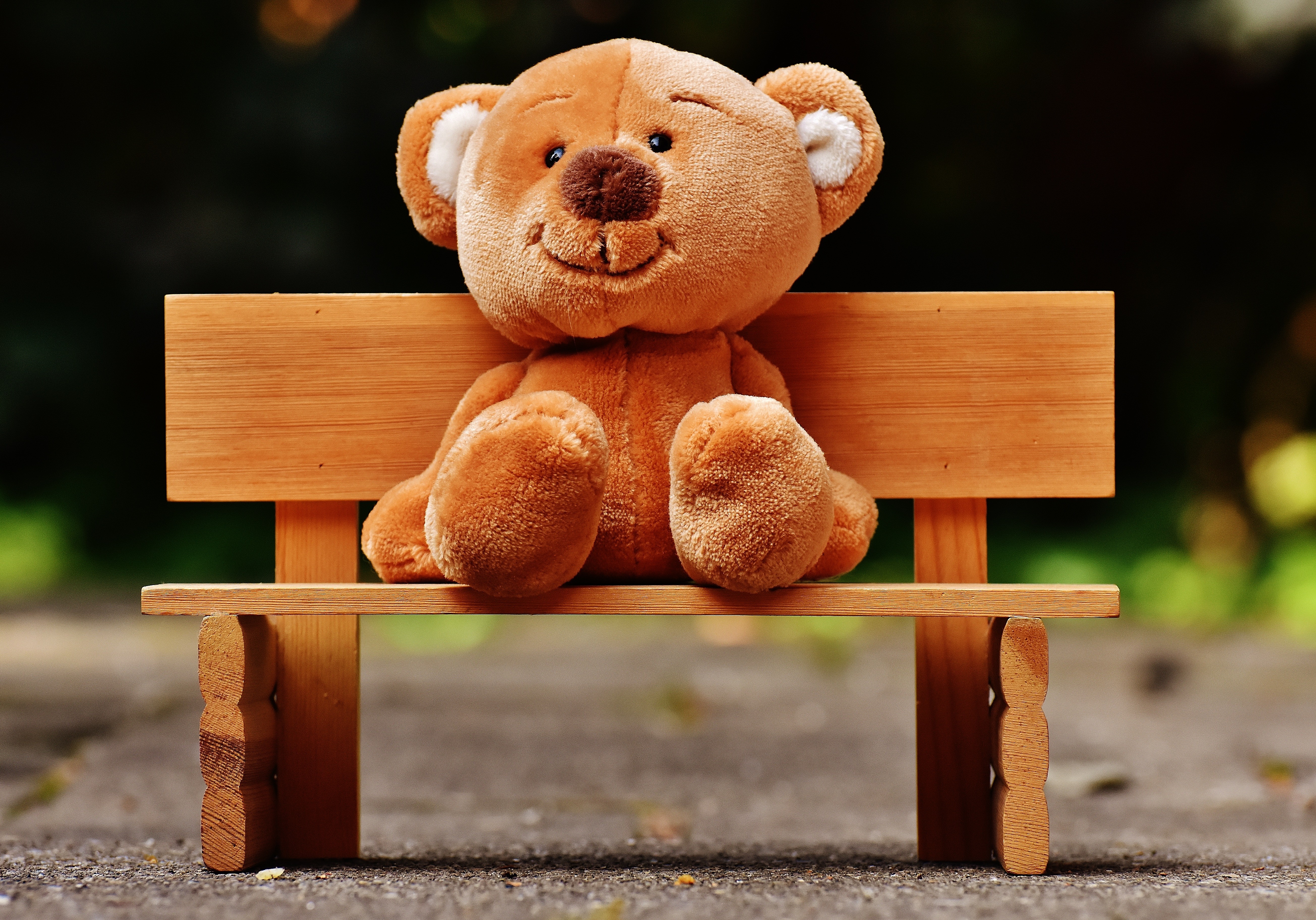 General 5217x3649 bench teddy bears nature outdoors road