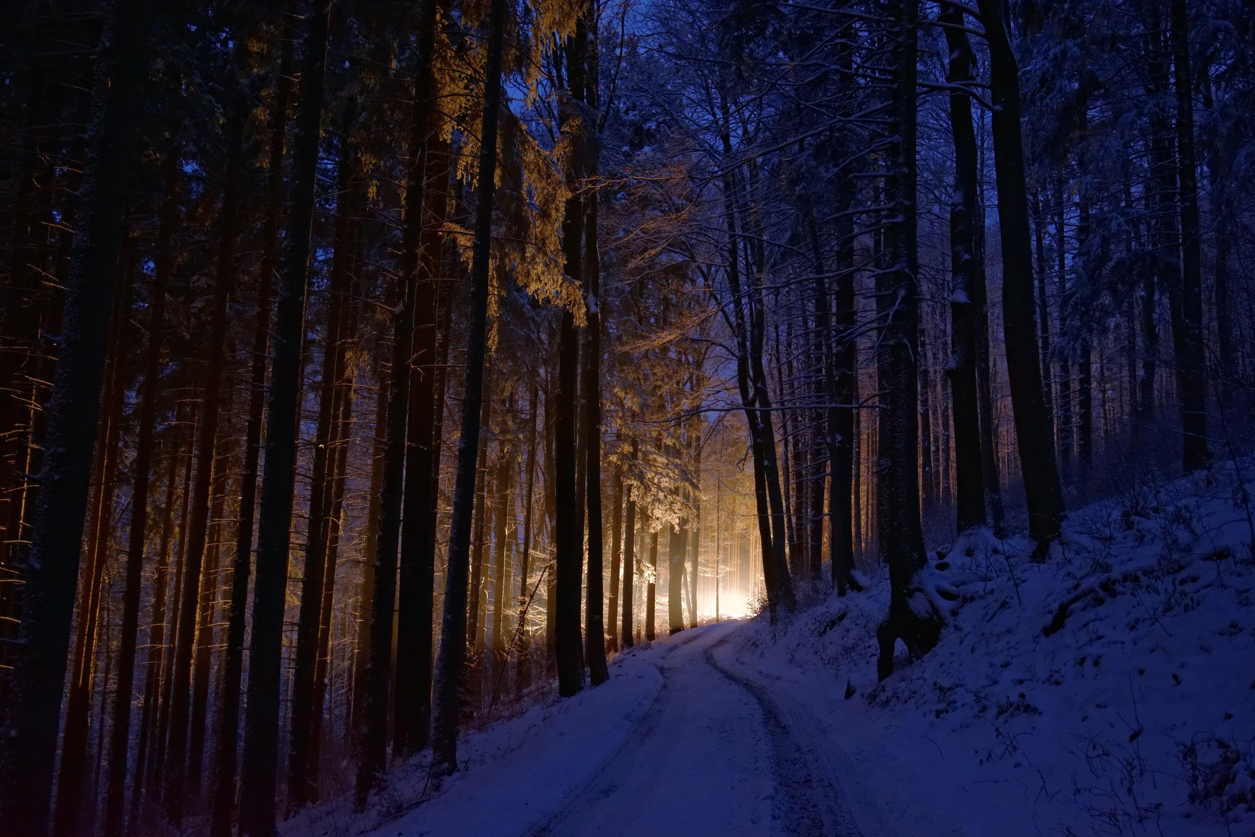 General 2560x1707 dark lights winter cold trees forest nature