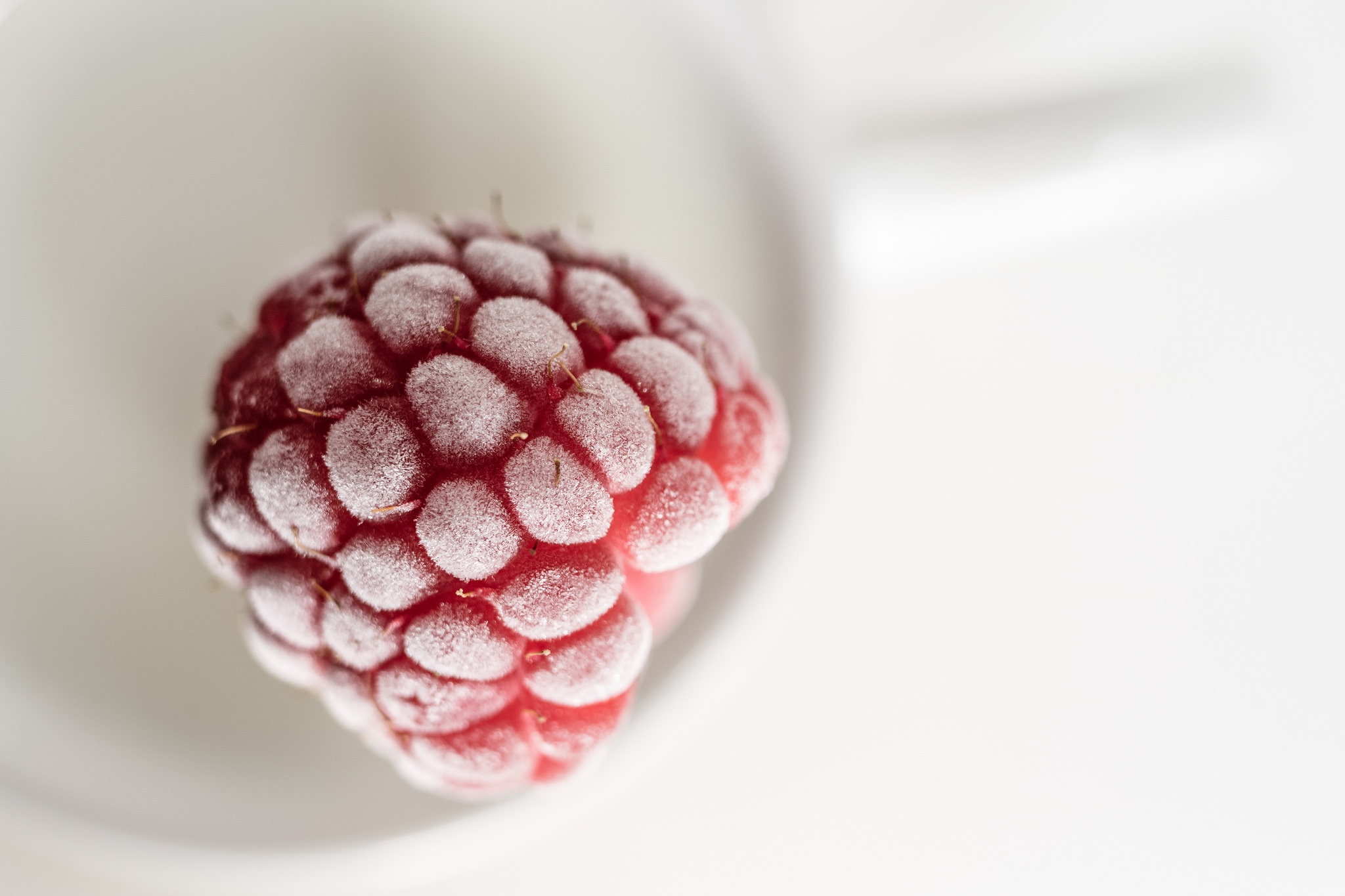 General 2048x1365 red white food fruit macro white background frost raspberries