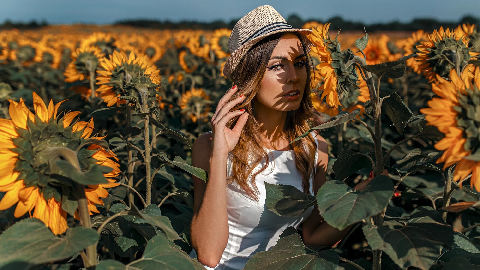 women outdoors, women, sunflowers, field, hat, flowers, plants ...
