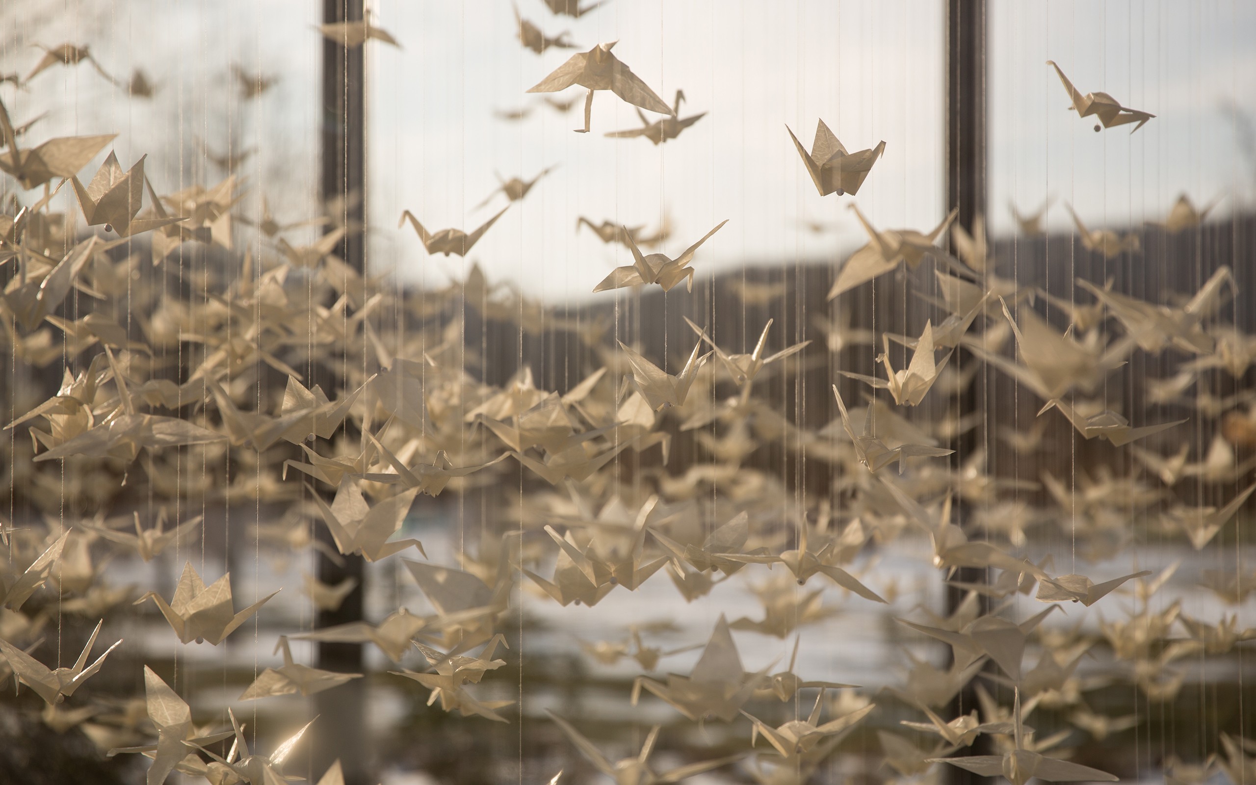 General 2560x1600 origami paper birds animals