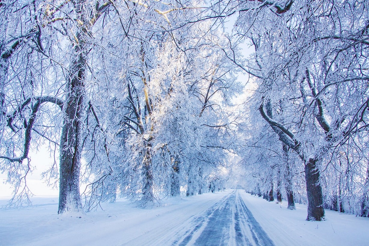 General 1230x820 nature cold morning road winter snow sunlight white blue violet