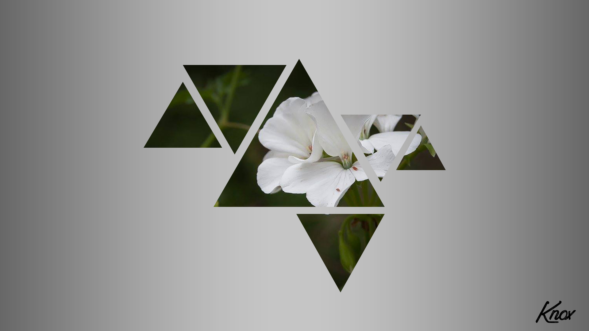 General 1920x1080 nature distortion triangle flowers simple background