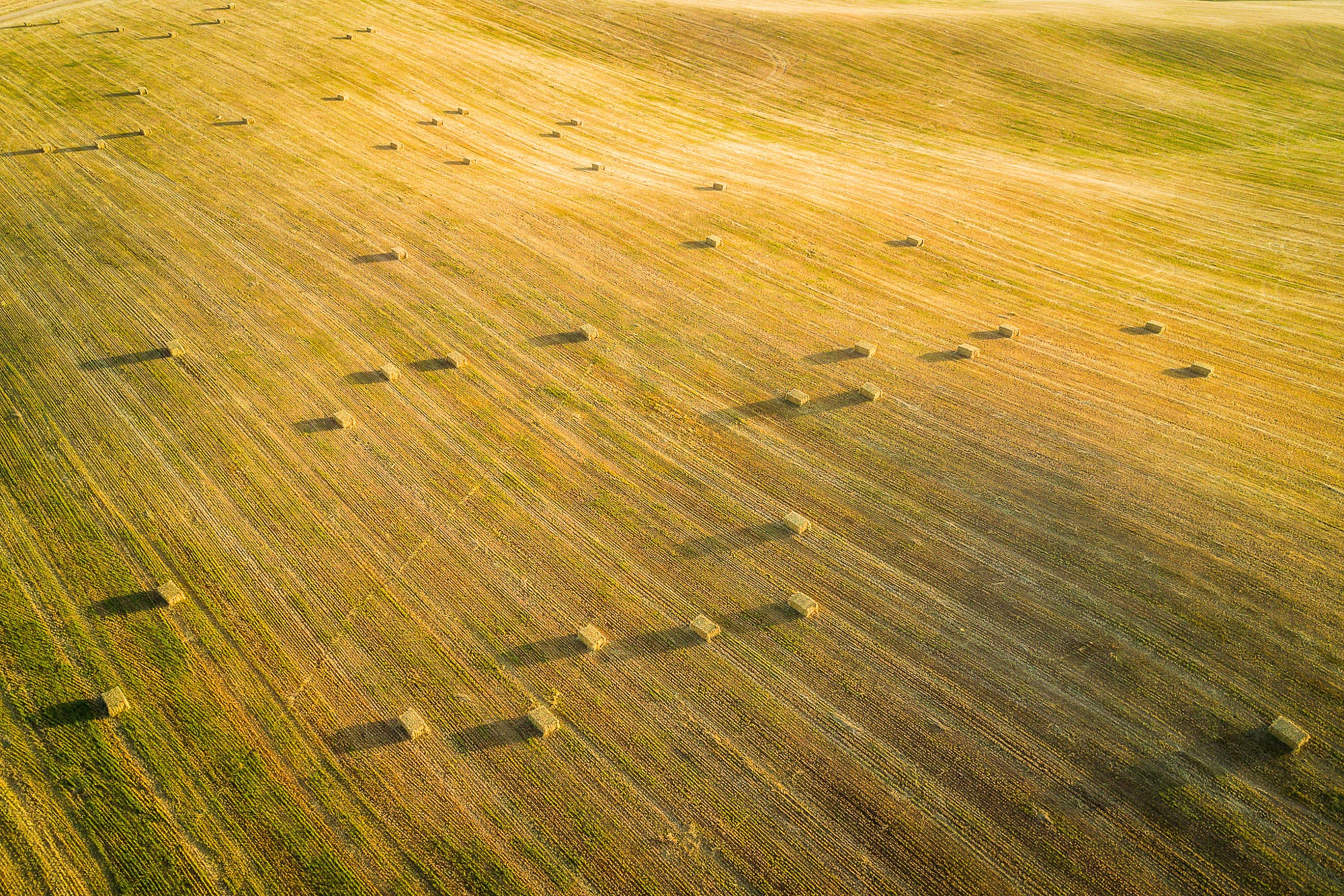 General 2000x1333 yellow field landscape sunlight shadow haystacks aerial view hay