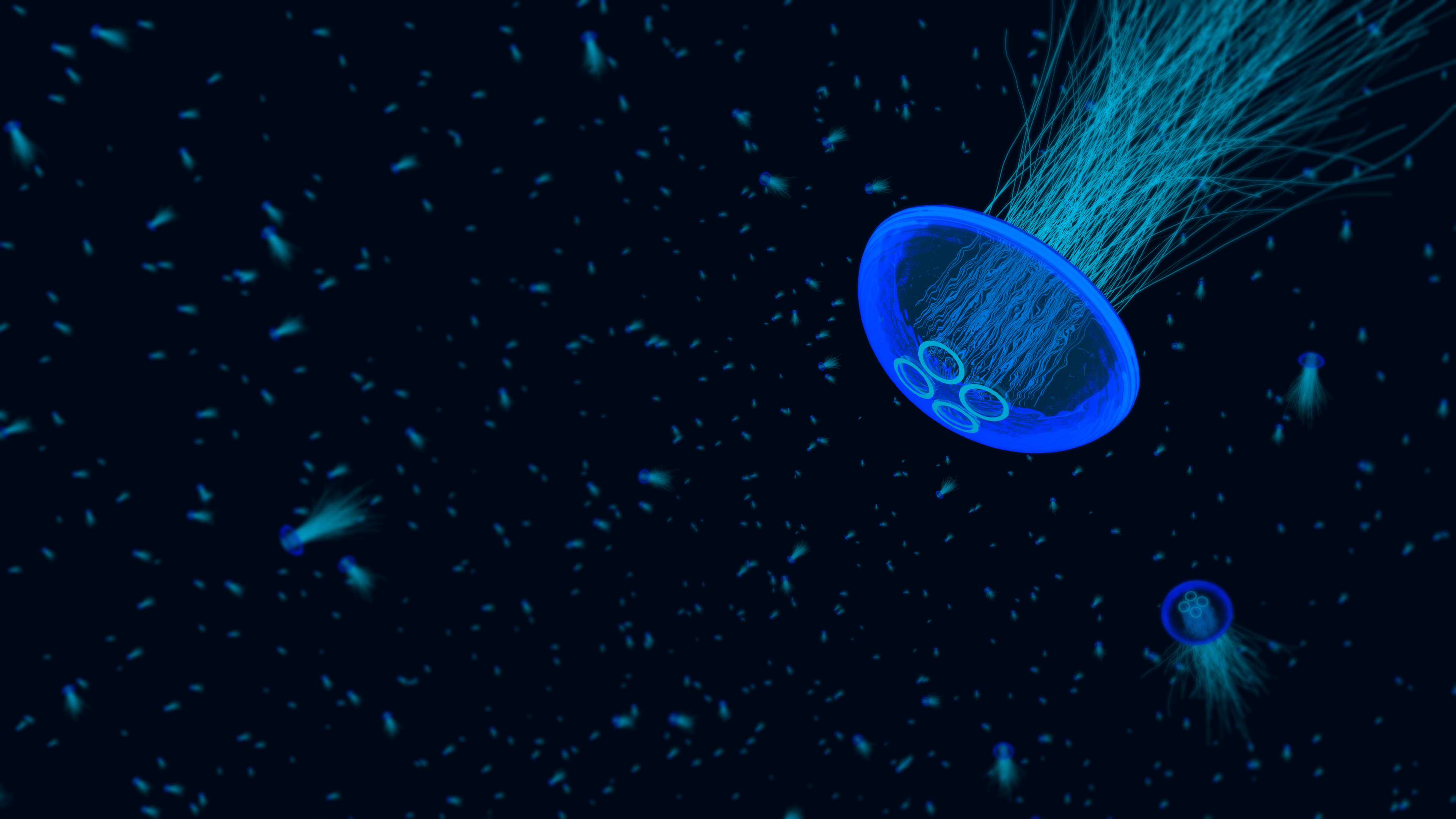 General 3840x2160 jellyfish underwater digital art artwork blue
