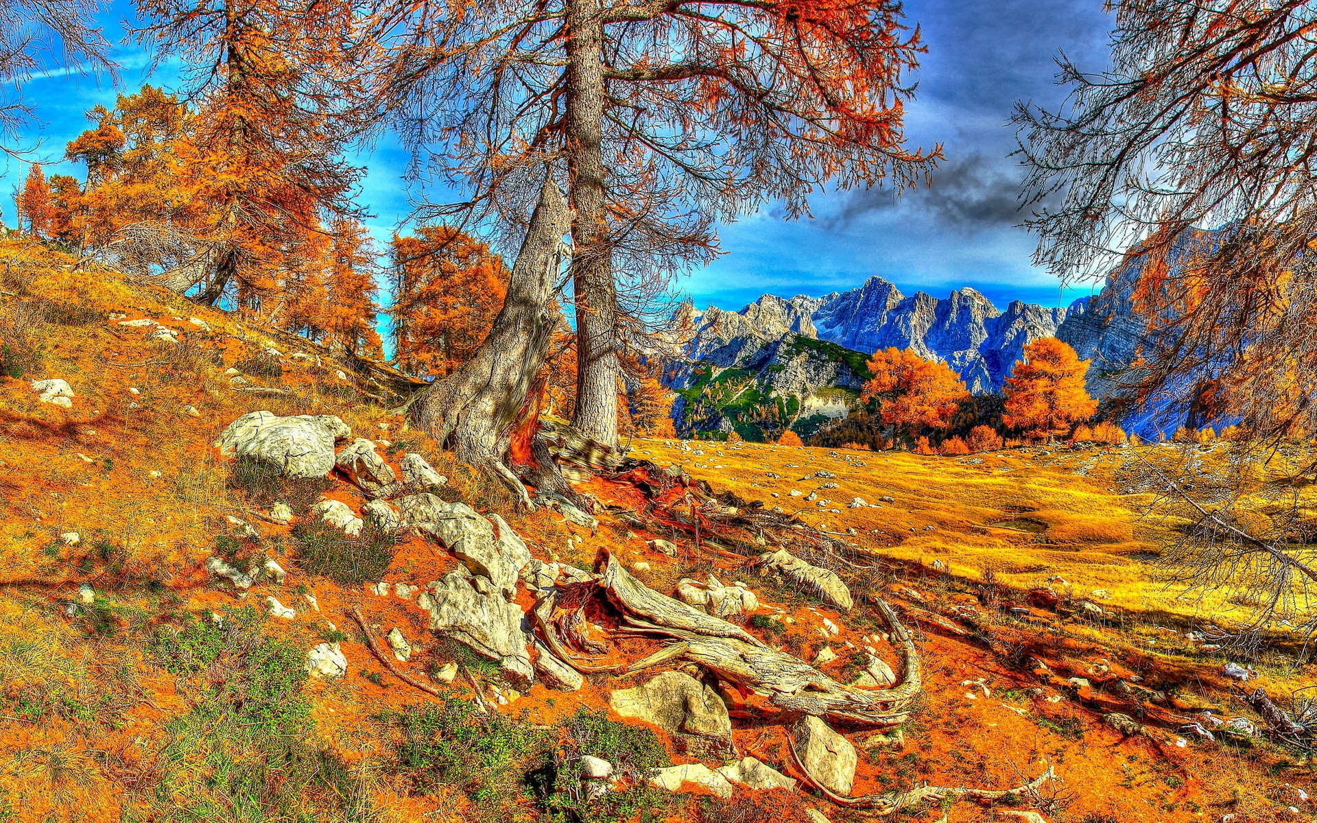 General 1920x1200 landscape trees fall mountains nature