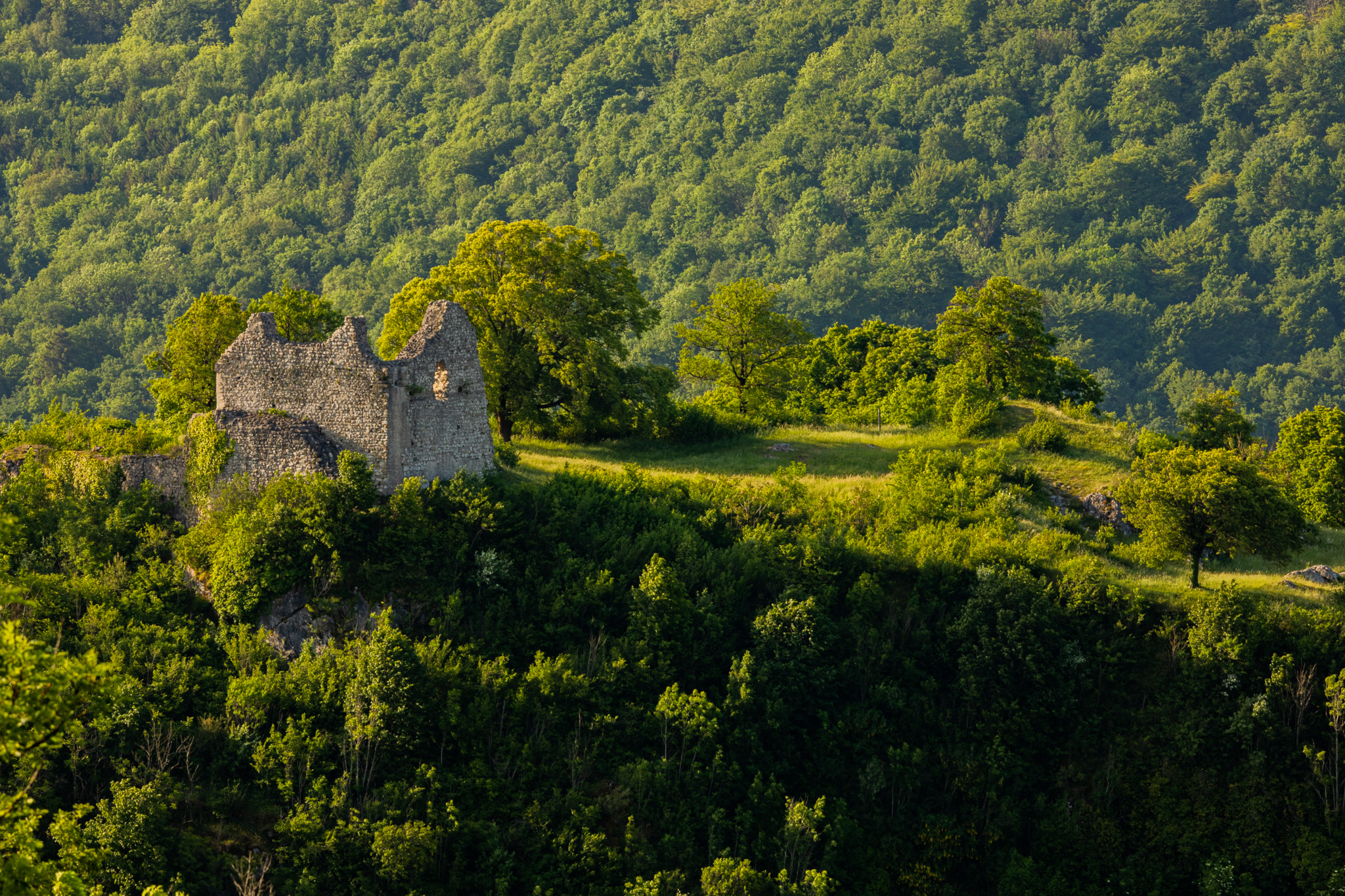 General 2048x1365 photography outdoors nature landscape greenery trees forest mountains hills castle ruins