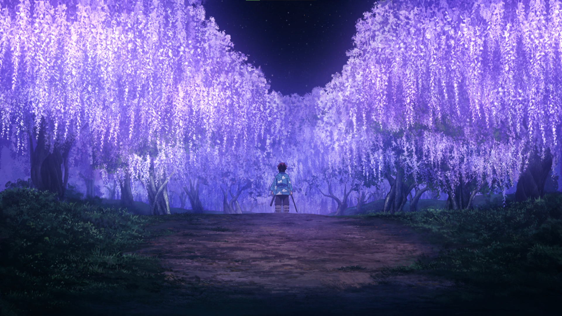 Anime 1920x1080 anime Anime screenshot Kimetsu no Yaiba wisteria anime boys sword purple Kamado Tanjiro standing night sky stars trees