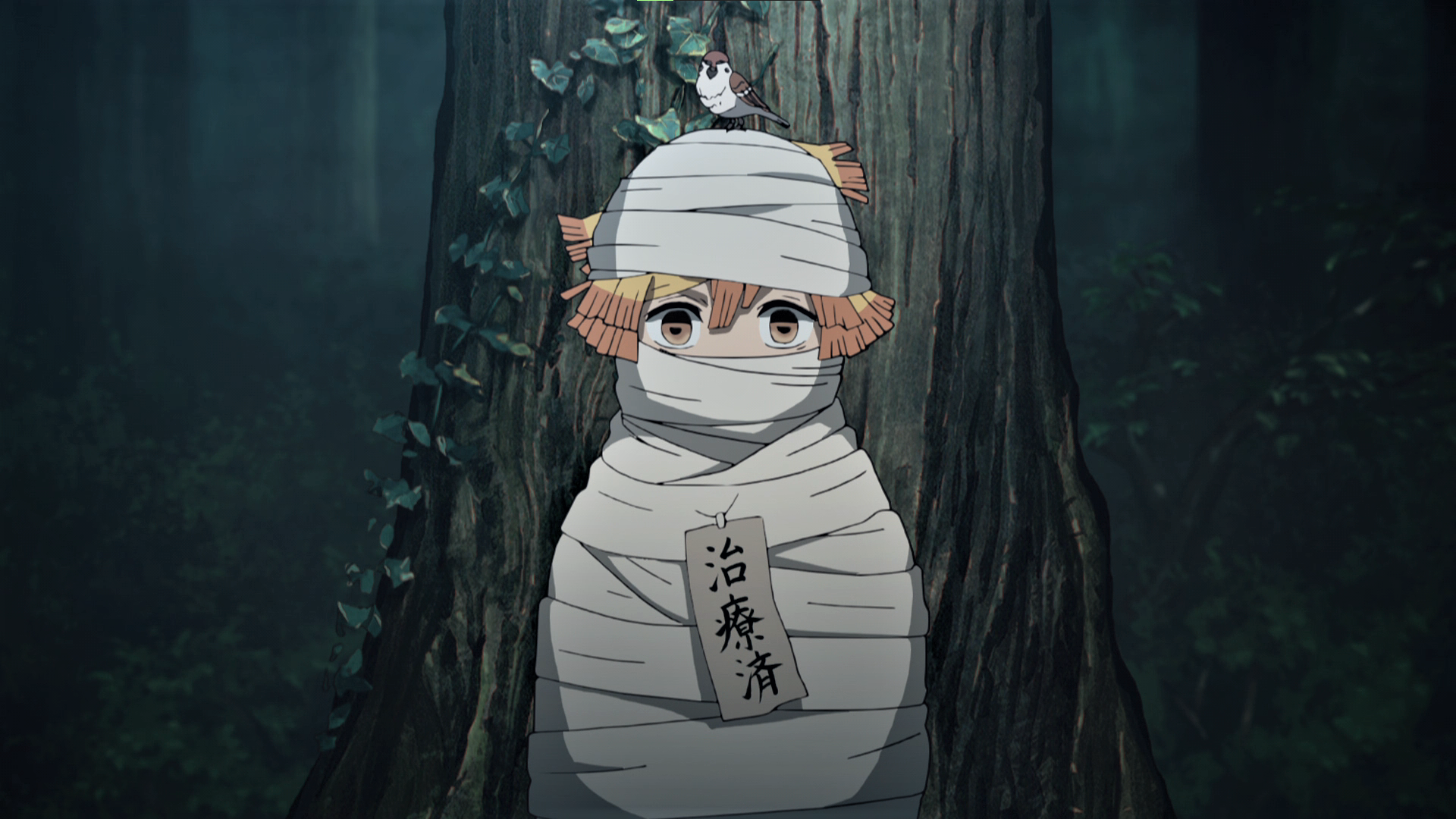 Anime 1920x1080 Kimetsu no Yaiba Zenitsu Agatsuma sparrow nature trees bandages anime Anime screenshot anime boys animals looking at viewer Japanese