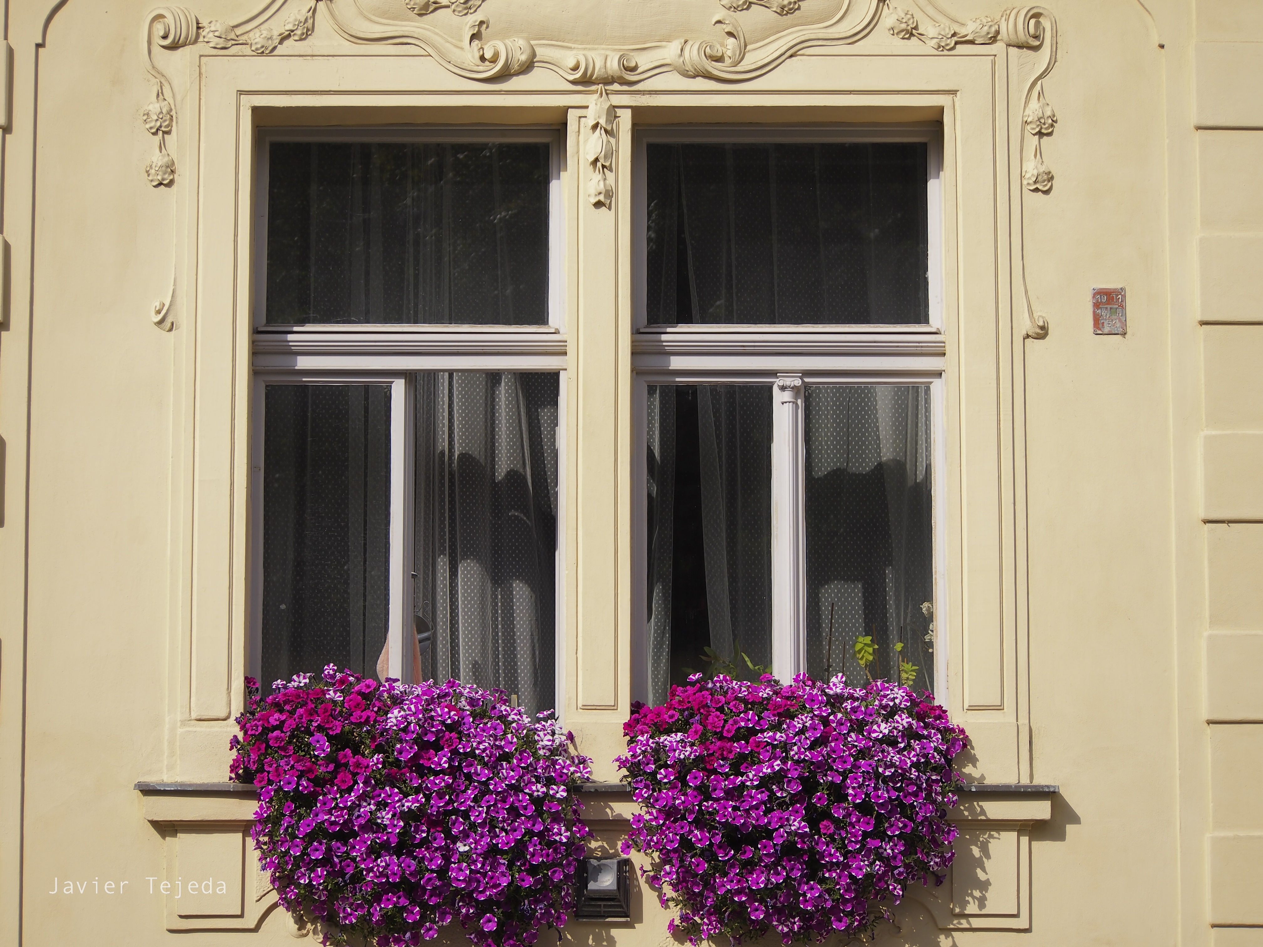 General 4032x3024 Czech building flowers window