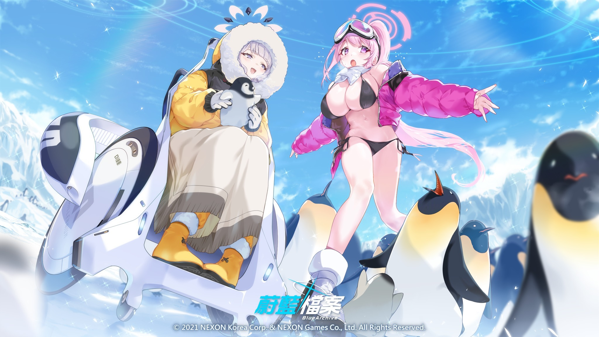 Anime 2048x1152 Blue Archive low-angle two women black bikinis Izumimoto Eimi animals Akeboshi Himari (Blue Archive) bikini women outdoors wheelchair open jacket cleavage watermarked pink jacket open mouth big boobs looking away penguins ski goggles OHLAND sky ice clouds scarf jacket