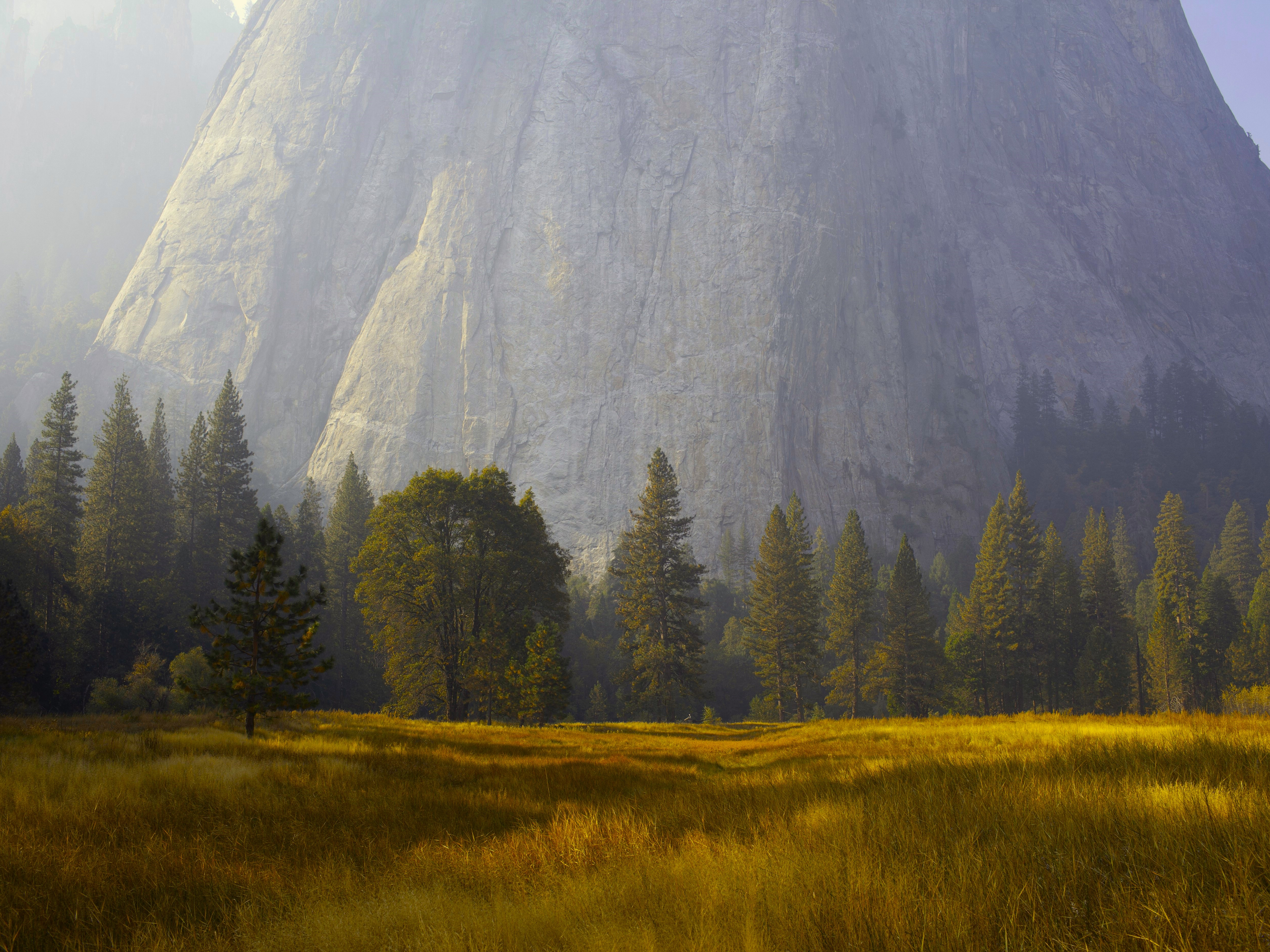 General 2560x1920 nature landscape trees grass mountains fog Yosemite National Park California USA