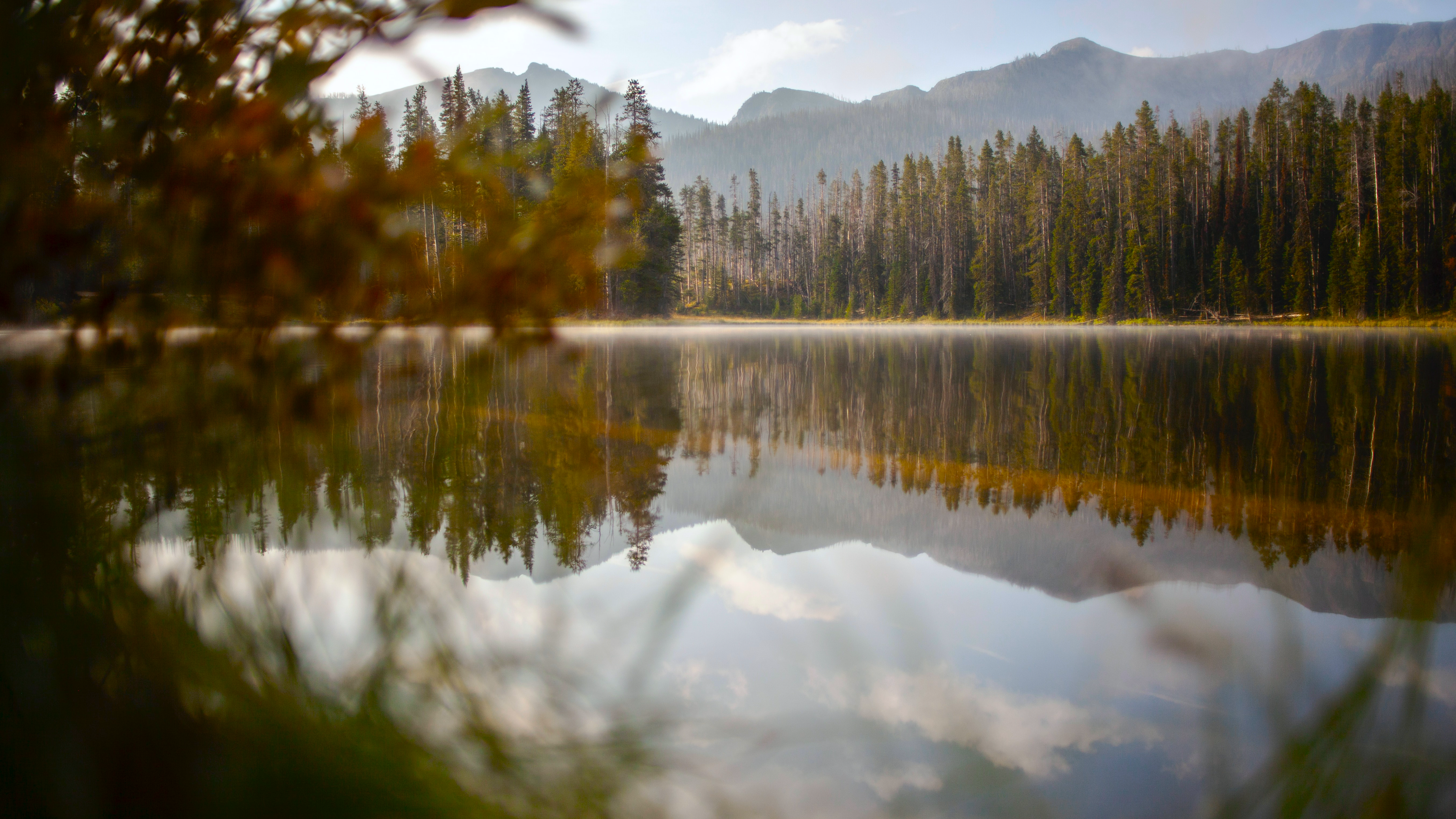 General 3840x2160 nature landscape fir forest reflection water lake wilderness Yellowstone National Park Wyoming USA