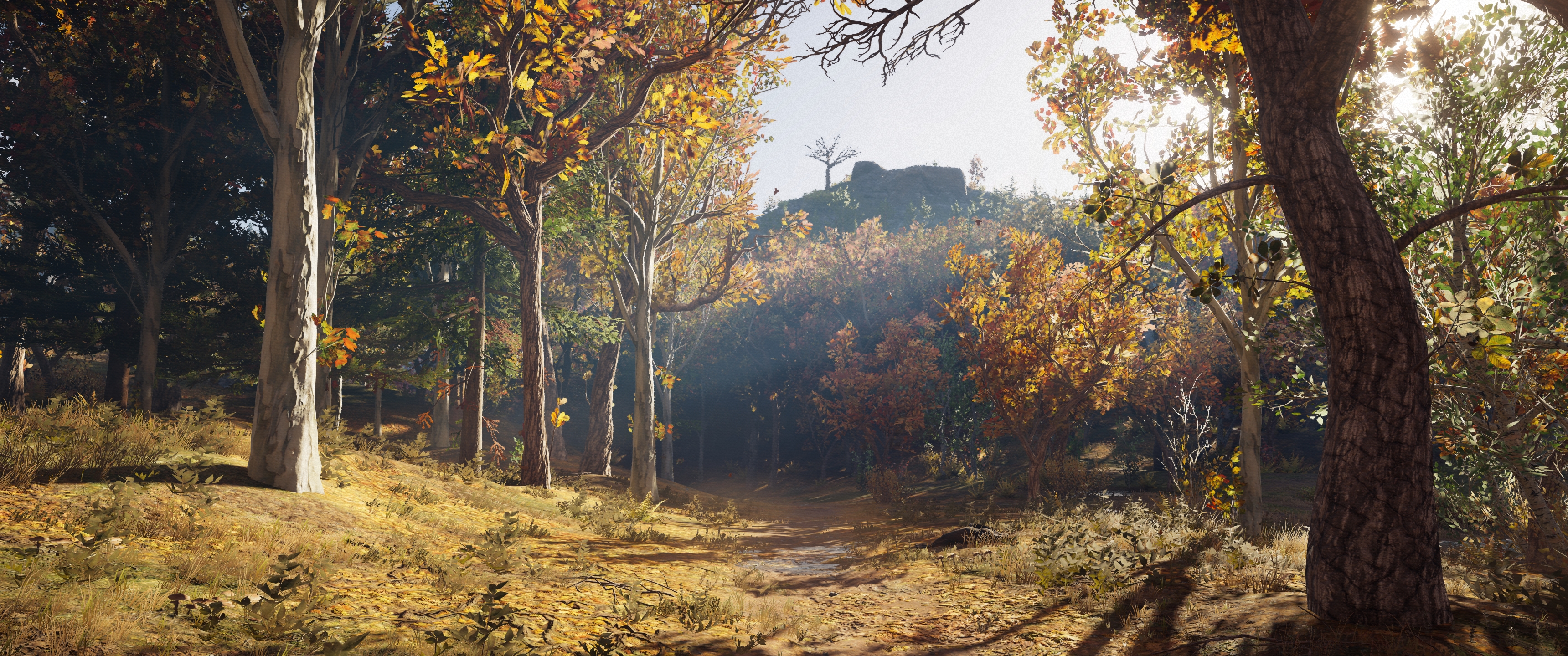 General 3440x1440 video games Kassandra Assassins Creed: Odyssey Assassin's Creed Ubisoft video game art screen shot trees nature leaves ground sunlight CGI forest