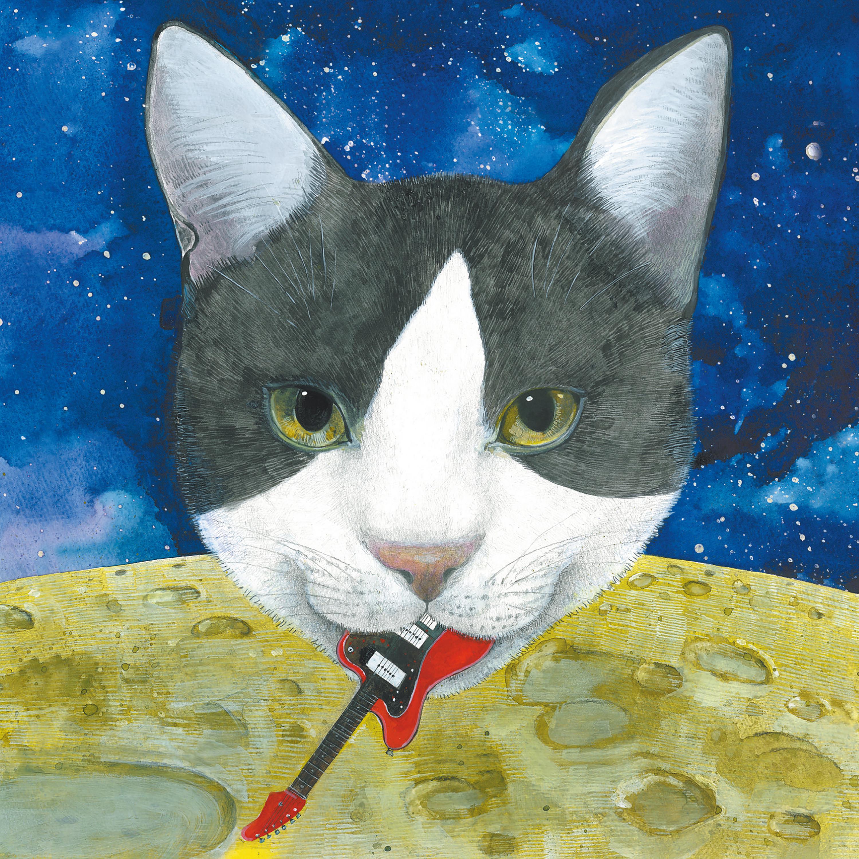 General 3000x3000 album covers artwork Moon cats animals guitar musical instrument looking at viewer stars whiskers digital art
