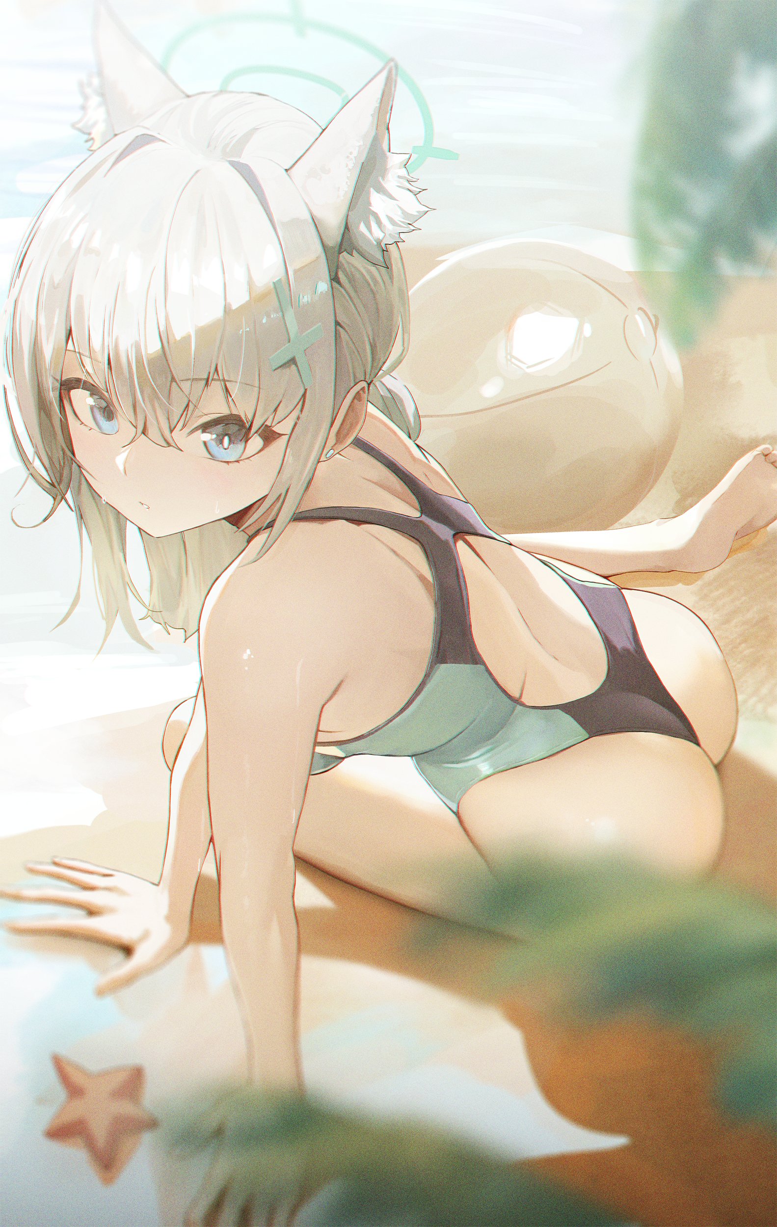 Anime 1583x2500 Blue Archive swimwear portrait display anime girls Shiroko (Blue Archive) animal ears high angle wolf girls looking up looking at viewer ass wolf ears beach ball blue eyes barefoot parted lips gray hair long hair back leaves sea Wei Hua arm support women on beach ball hair ornament foot sole starfish women outdoors one-piece swimsuit beach