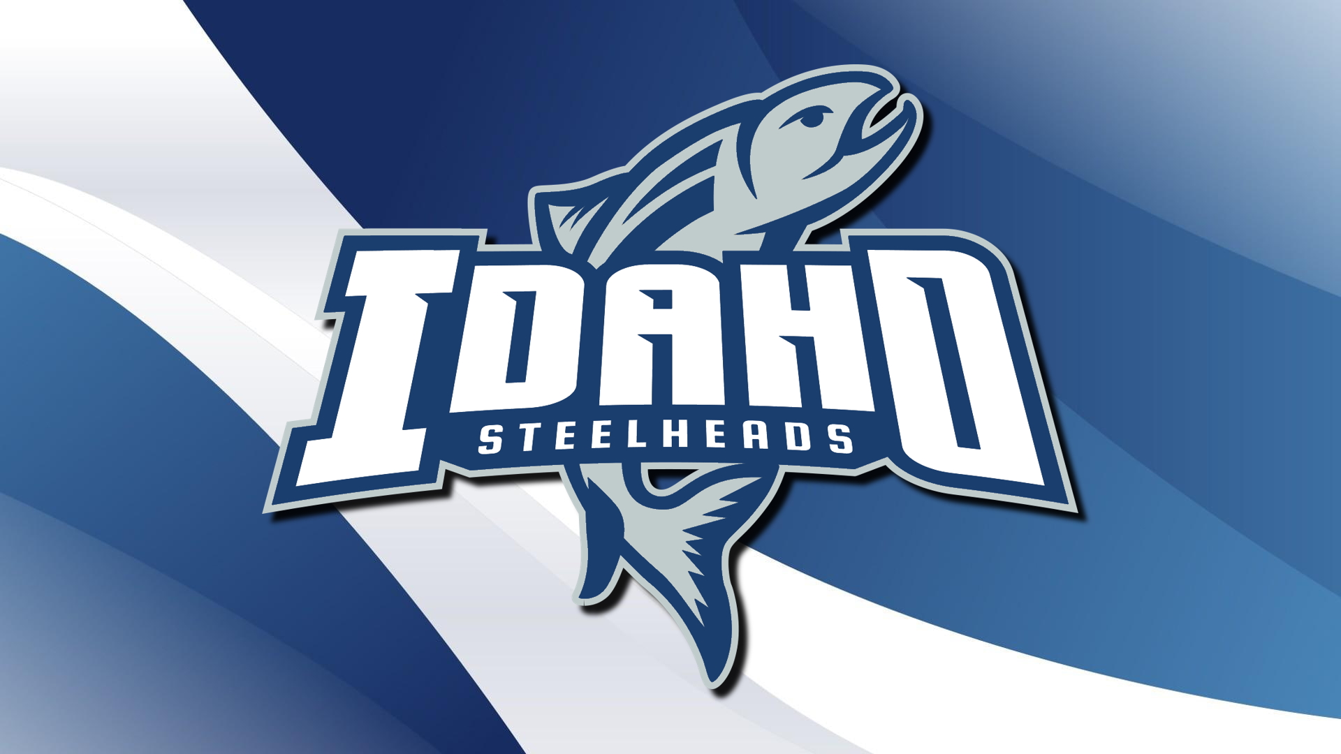 Hockey, Minor League, Idaho Steelheads, ECHL, logo 1920x1080