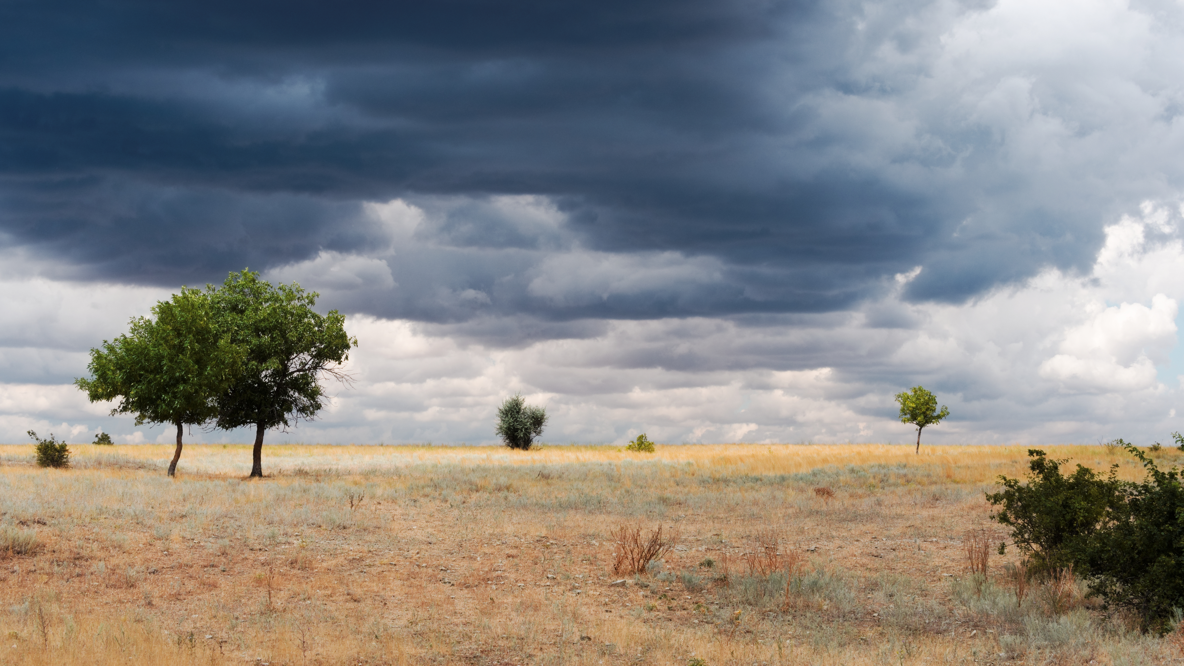 General 3840x2160 clouds trees landscape overcast wasteland sky