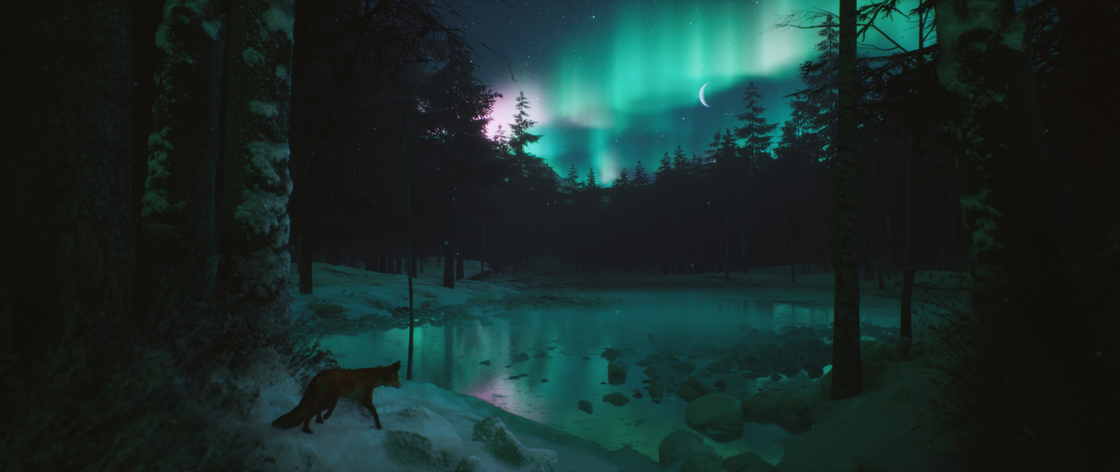 General 3840x1620 Justine Cannarella forest snow winter fox lake aurorae low light