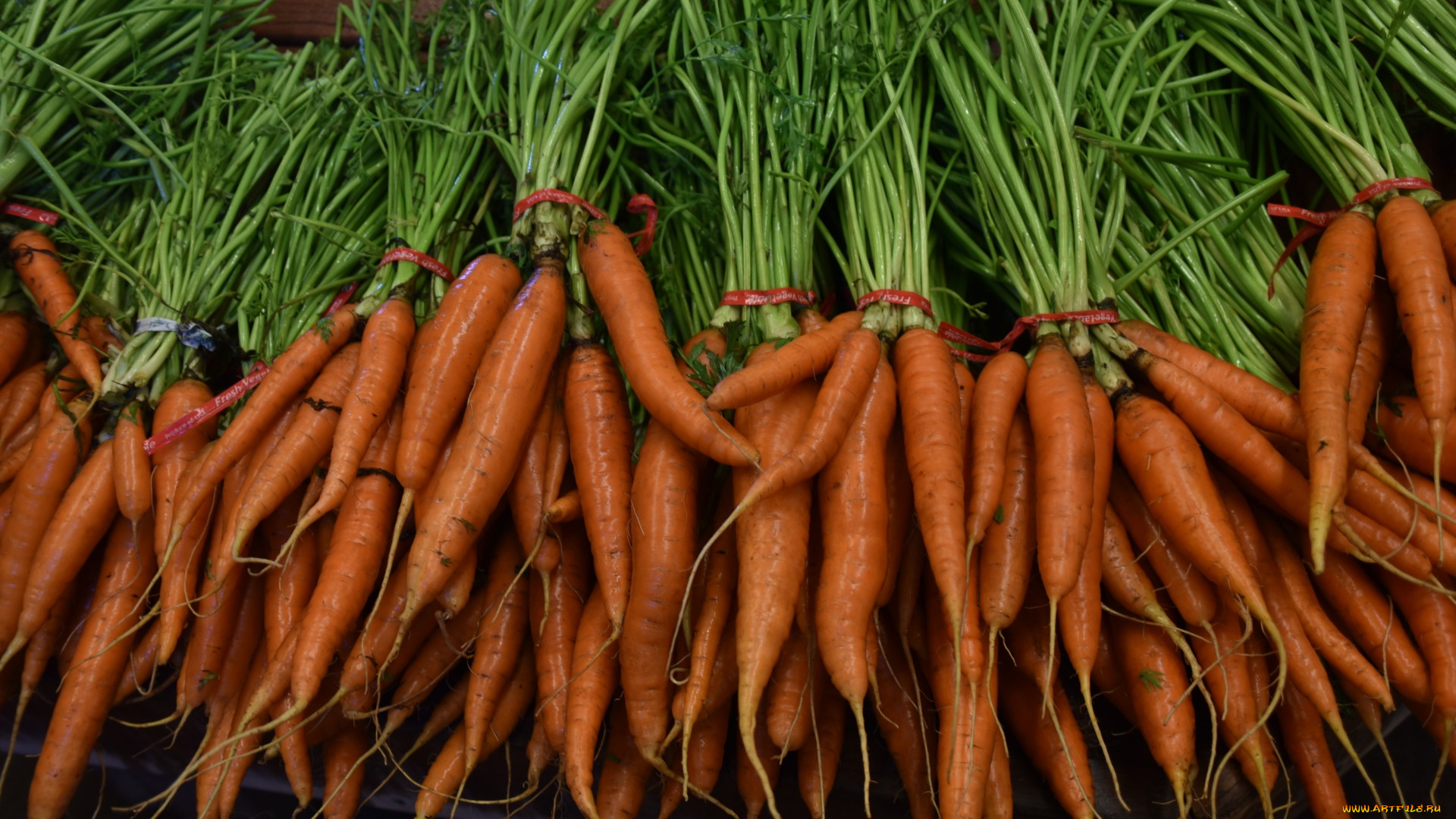 General 1920x1080 food vegetables carrots