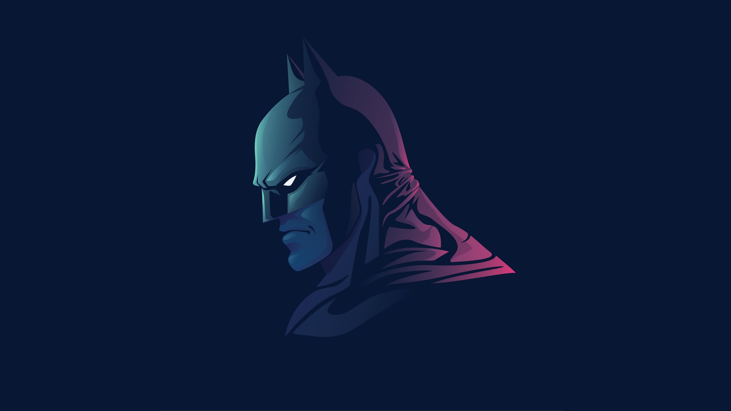 General 2560x1440 artwork minimalism DC Comics vector art simple background digital art Batman
