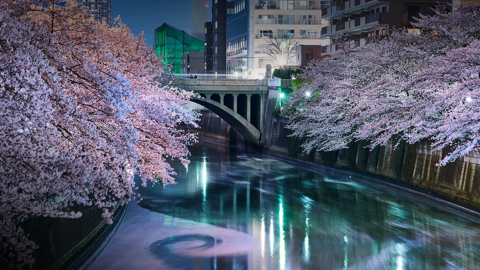 General 1920x1080 trees city bridge power lines cherry blossom building night lights river long exposure Tokyo Japan
