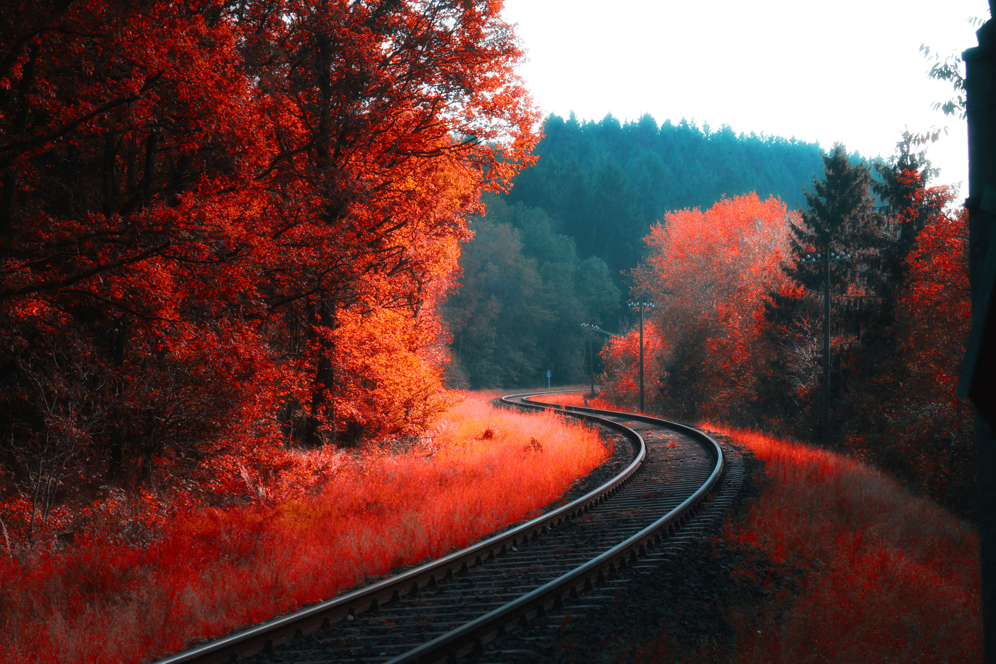 General 2048x1365 landscape forest trees fall railway colorful leaves