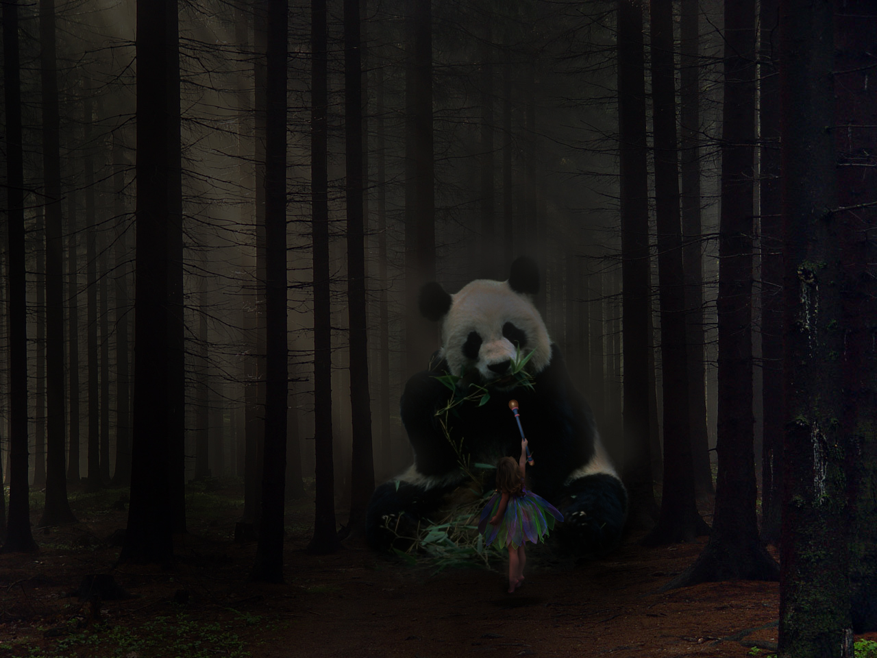 General 1280x960 Gabriel (Shingeki no Bahamut) panda forest dark