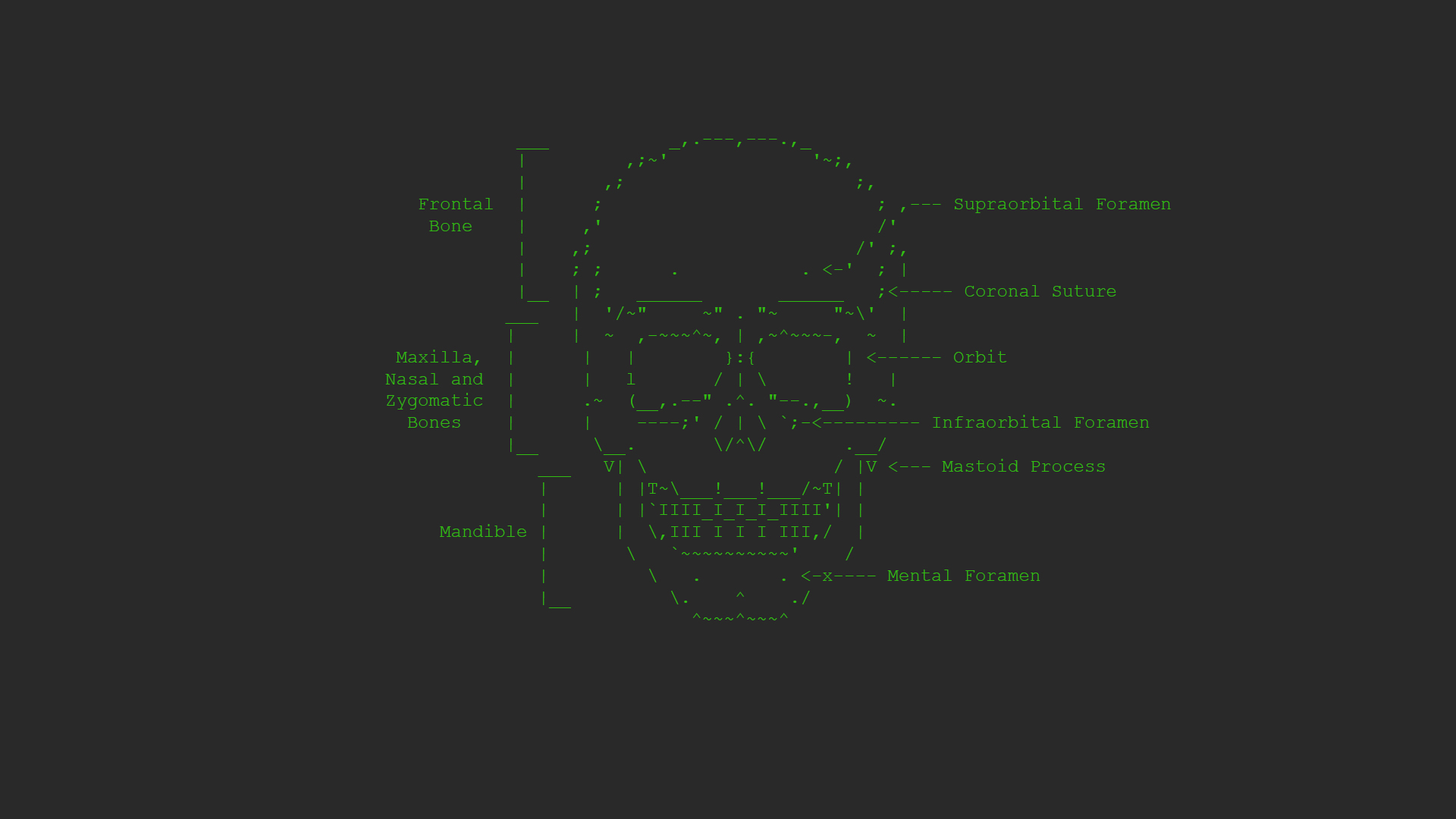 General 1920x1080 ASCII art skull minimalism