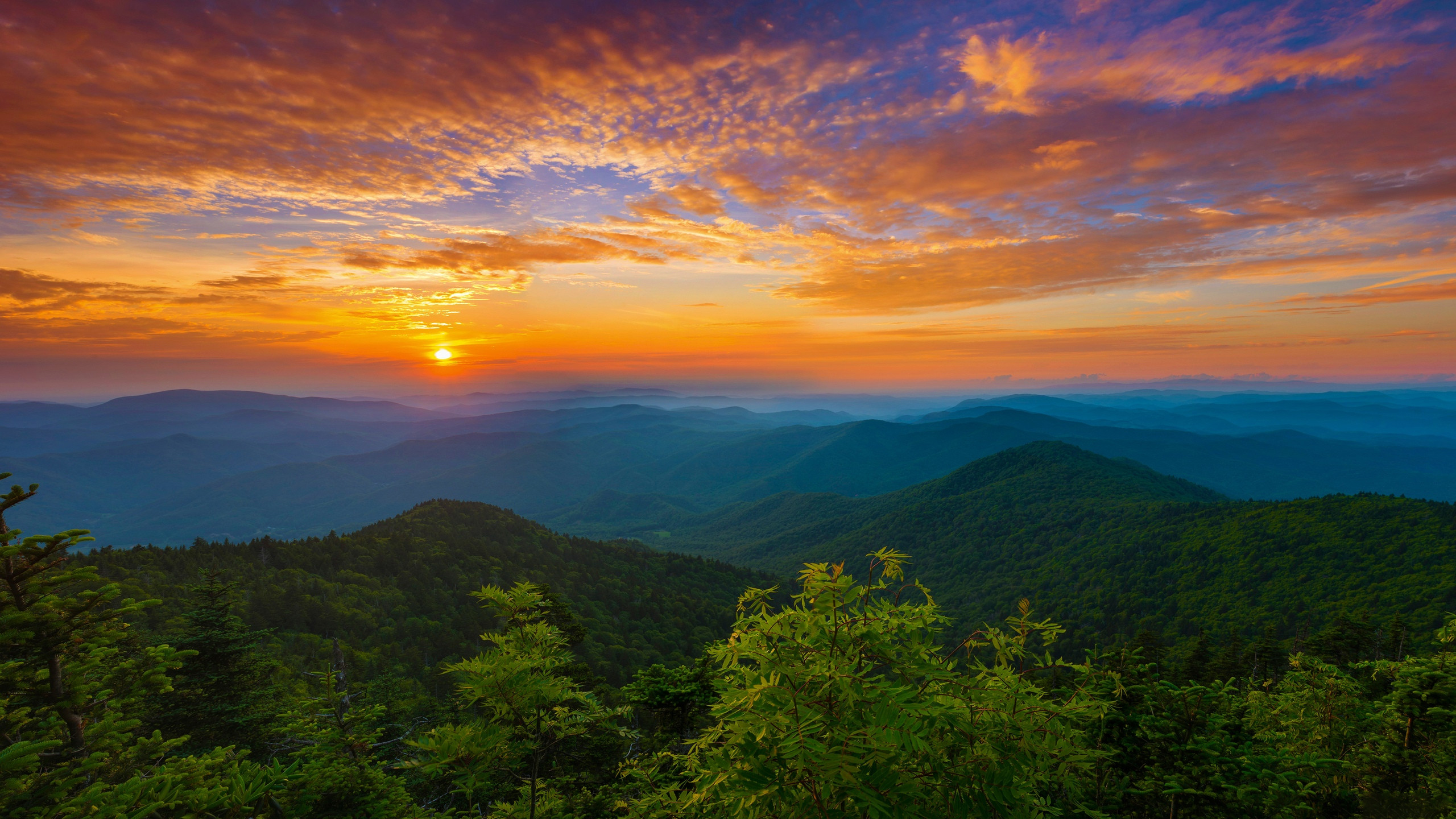 General 2560x1440 Tennessee sunset nature forest