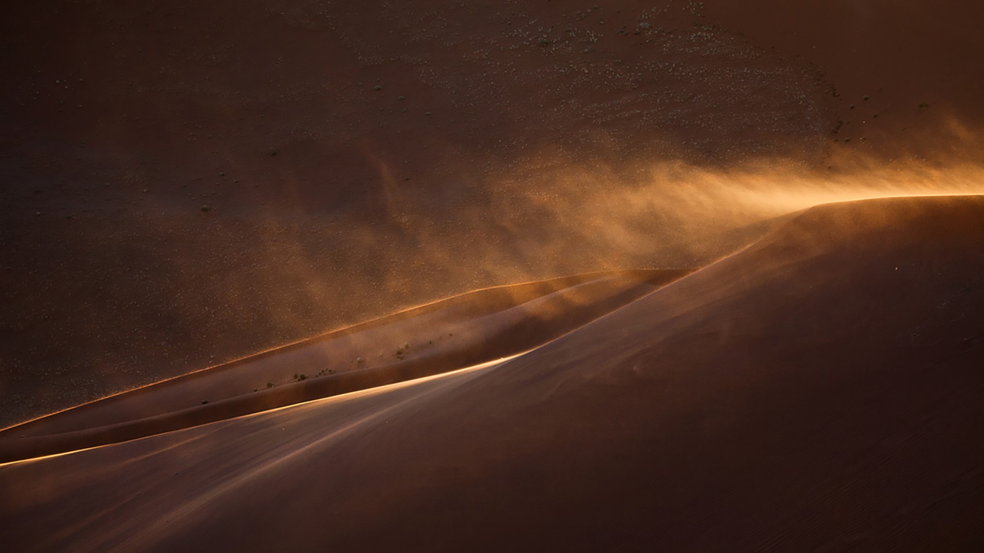 General 1920x1080 nature landscape sand dunes desert plants wind sunset sunlight Namibia