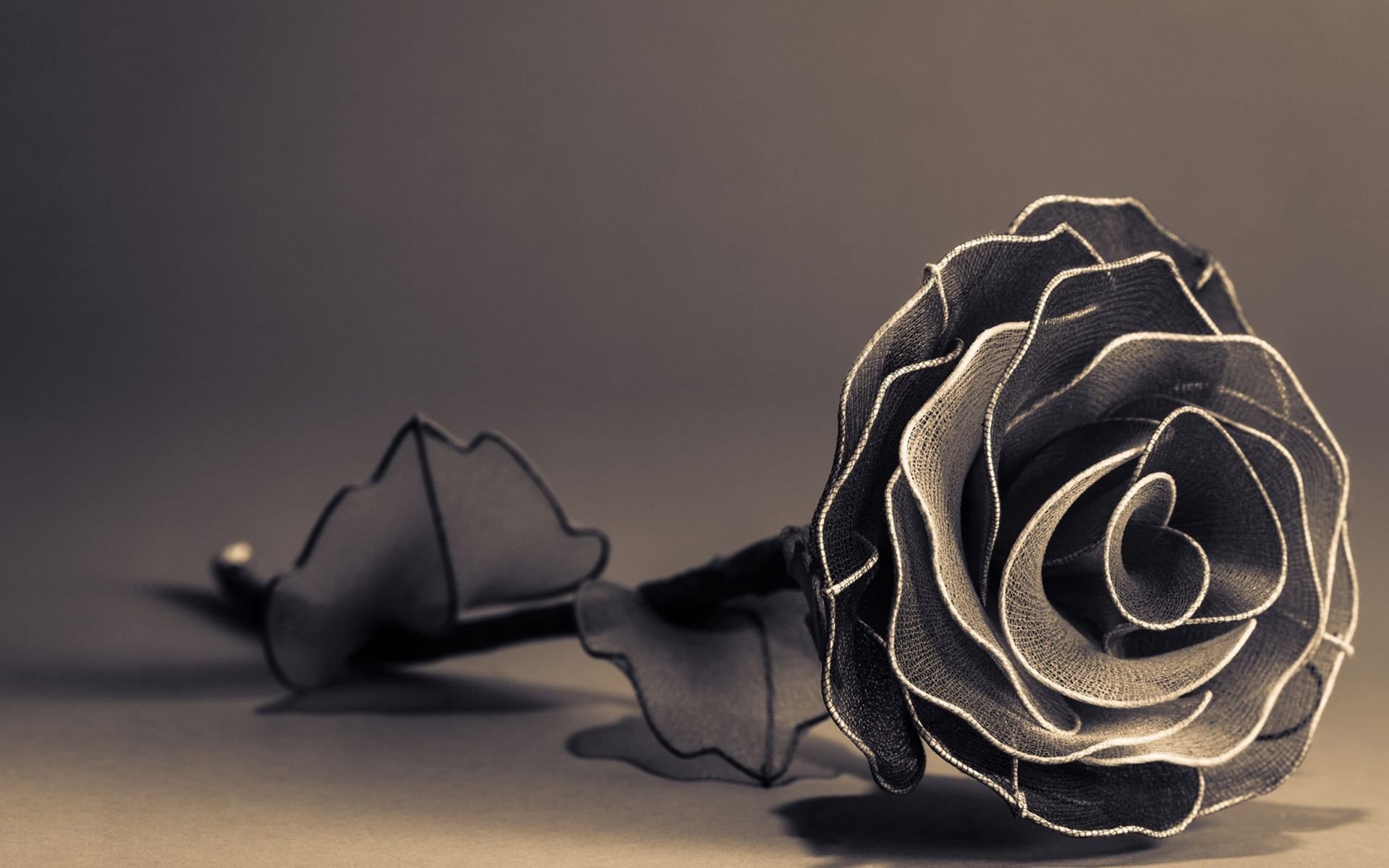 General 1920x1200 photography flowers rose simple background artwork depth of field monochrome sepia black rose