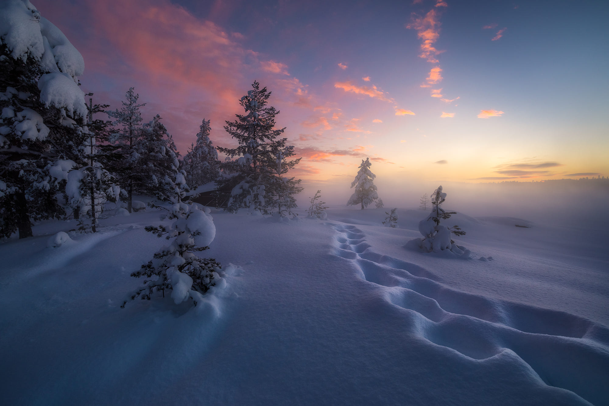 General 2000x1335 depth of field 500px nature snow winter pine trees sunset sun rays landscape sky cold