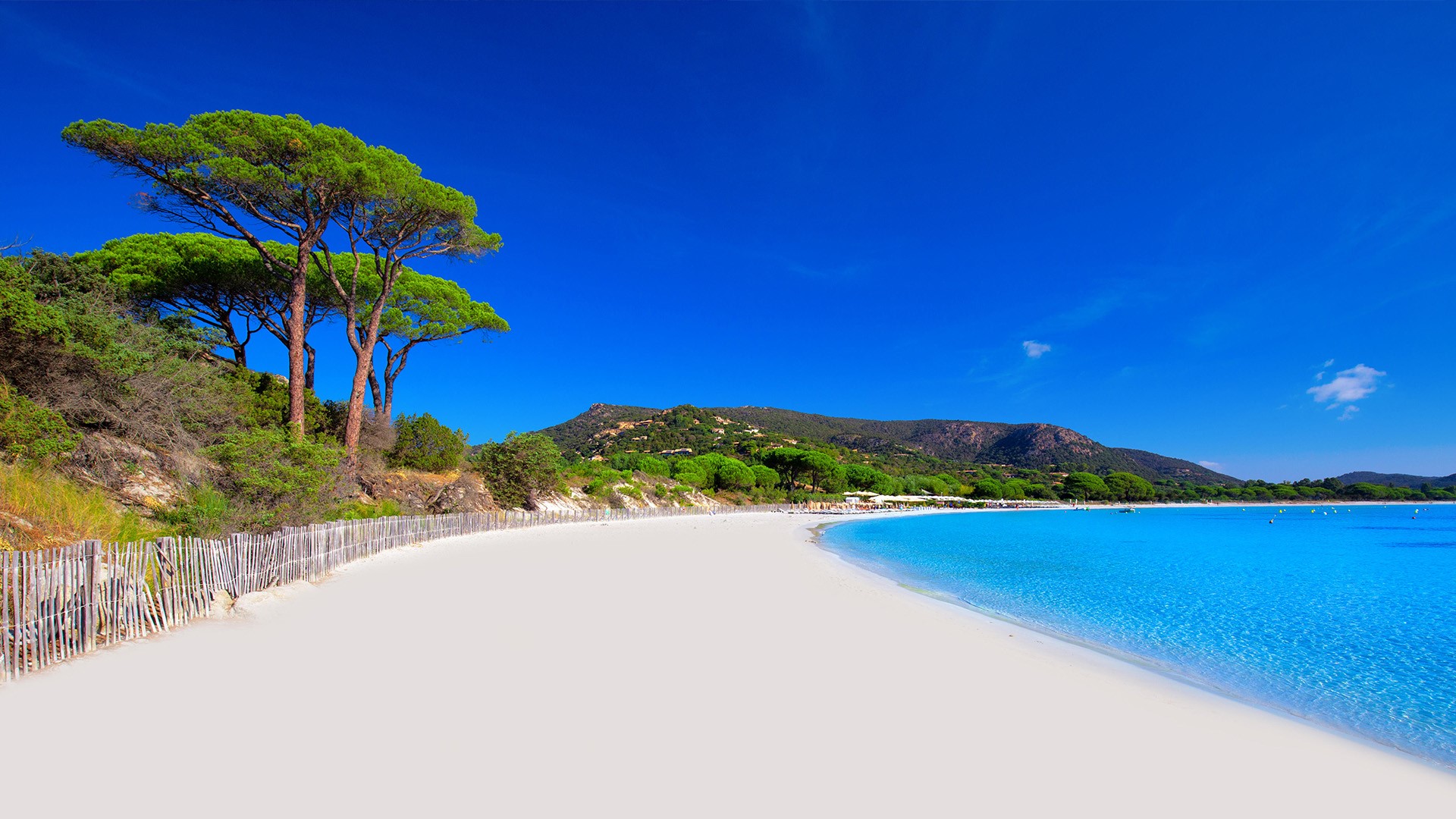 General 1920x1080 nature landscape sand water trees coast clear sky Corsica France beach