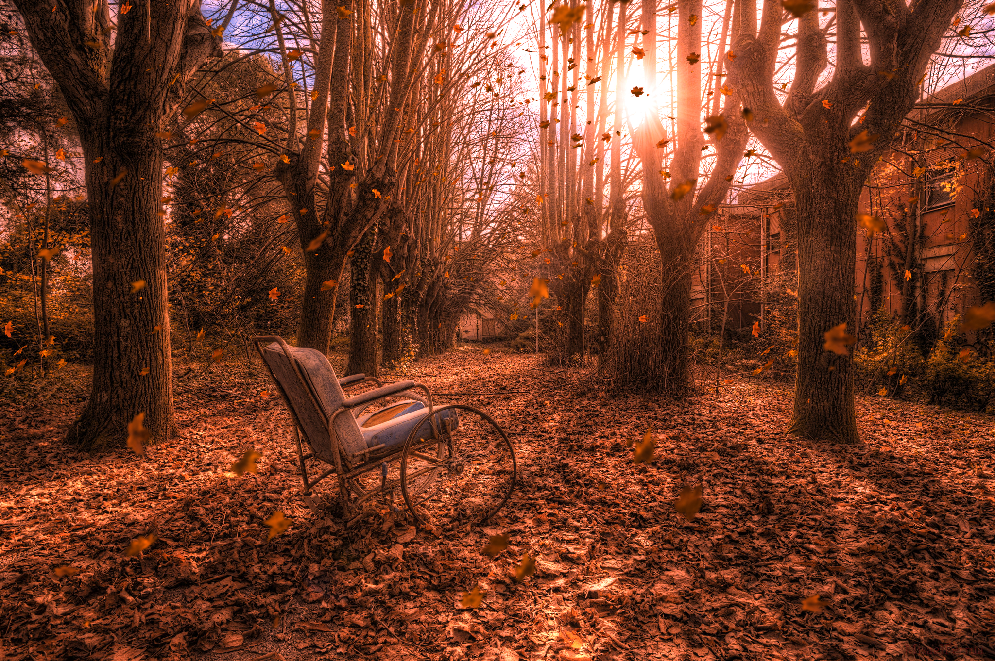 General 2048x1362 trees sunlight outdoors chair fall leaves wind