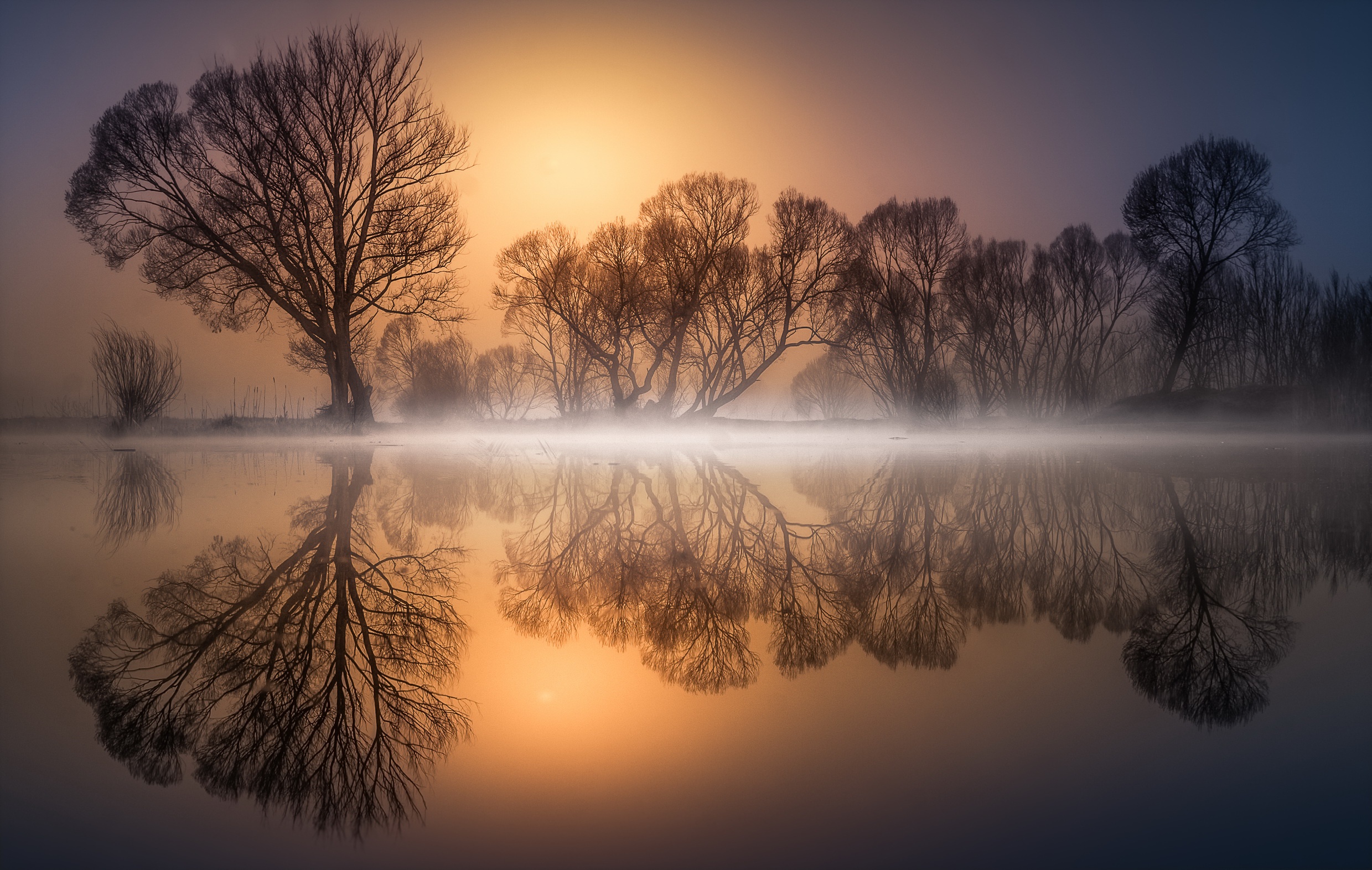 General 2479x1572 nature mist trees sunlight water reflection