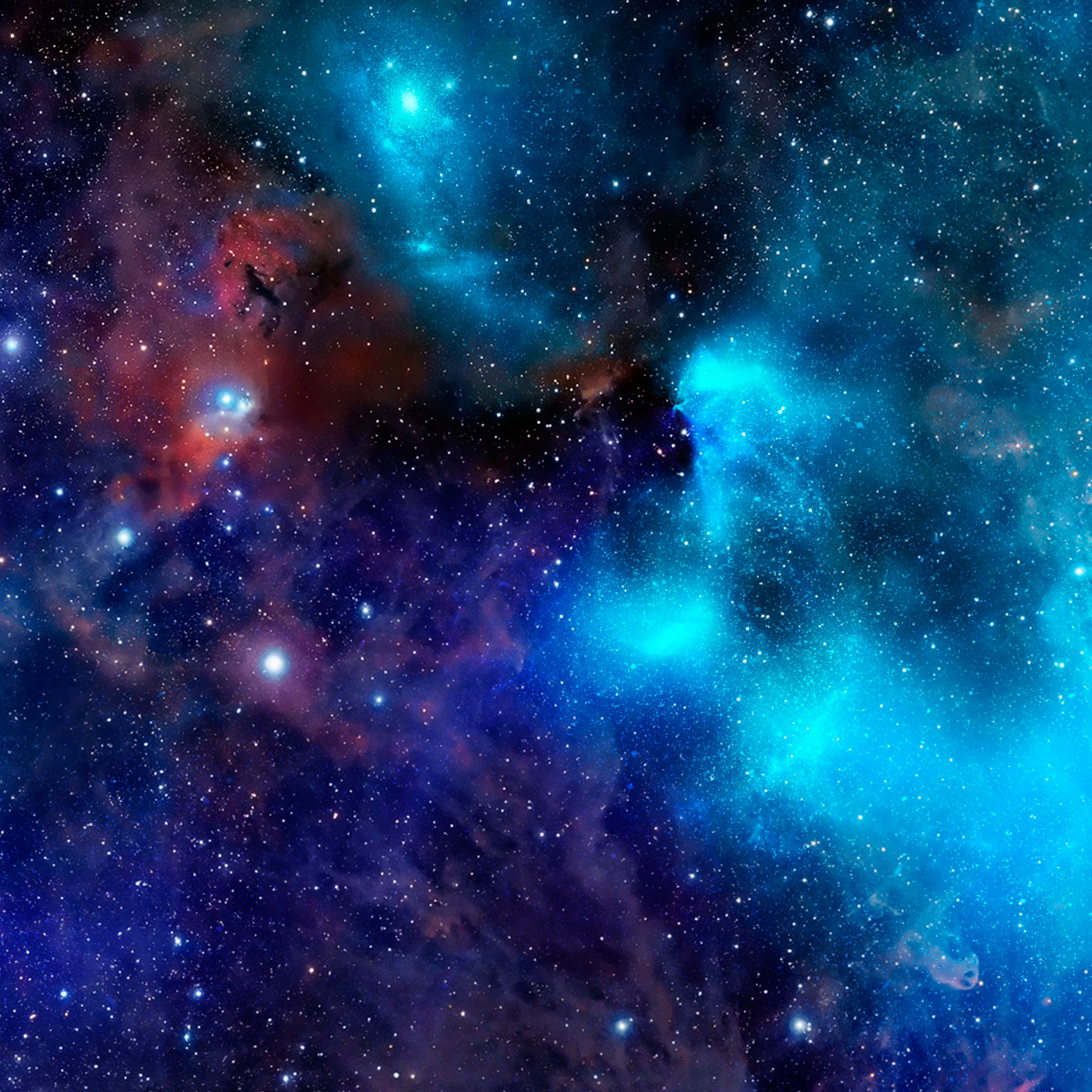 General 2448x2448 universe galaxy space stars digital art portrait display