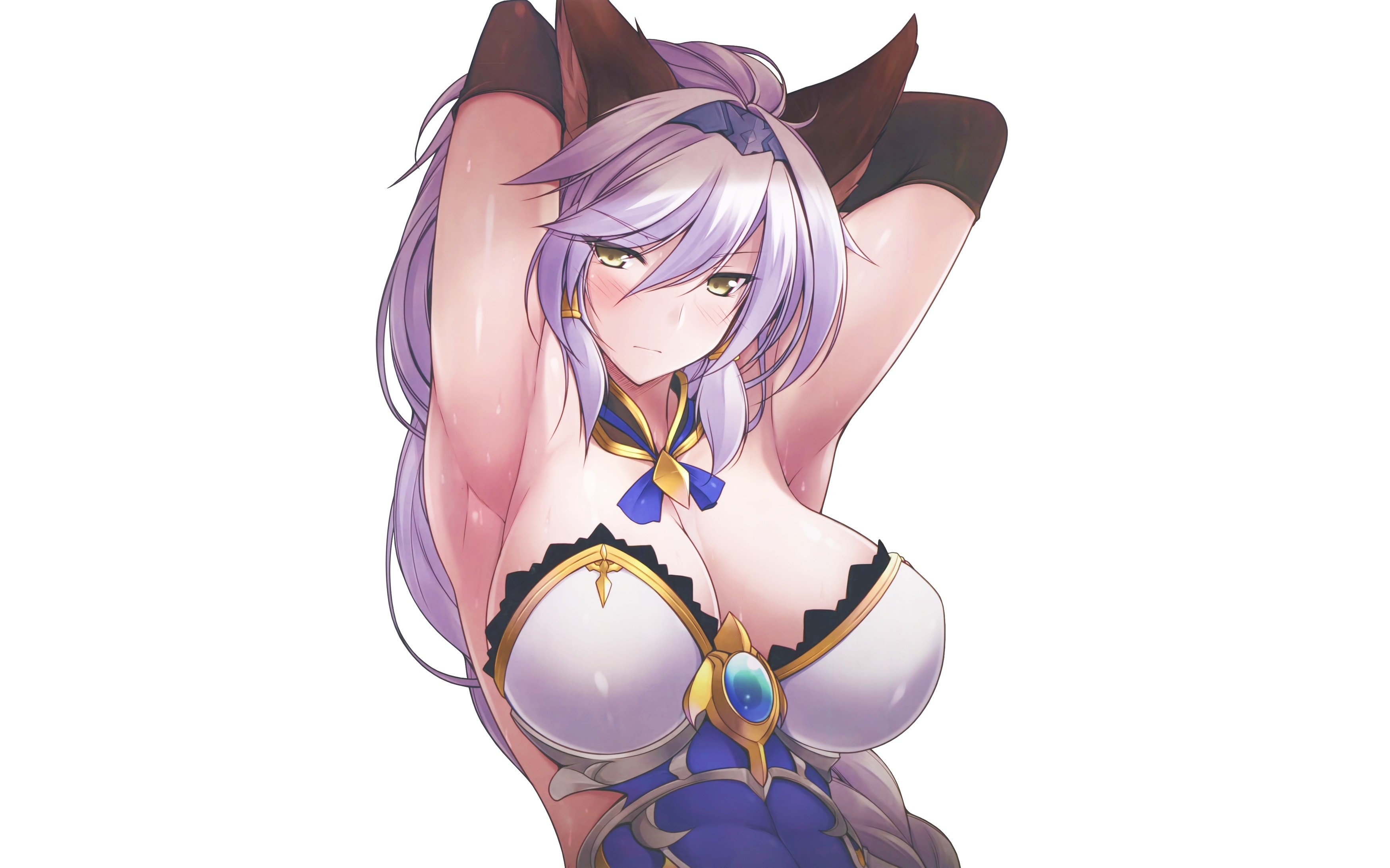 Anime 3500x2187 anime anime girls Granblue Fantasy animal ears armor long hair purple hair boobs big boobs huge breasts curvy arms up white background women simple background fantasy art fantasy girl looking at viewer