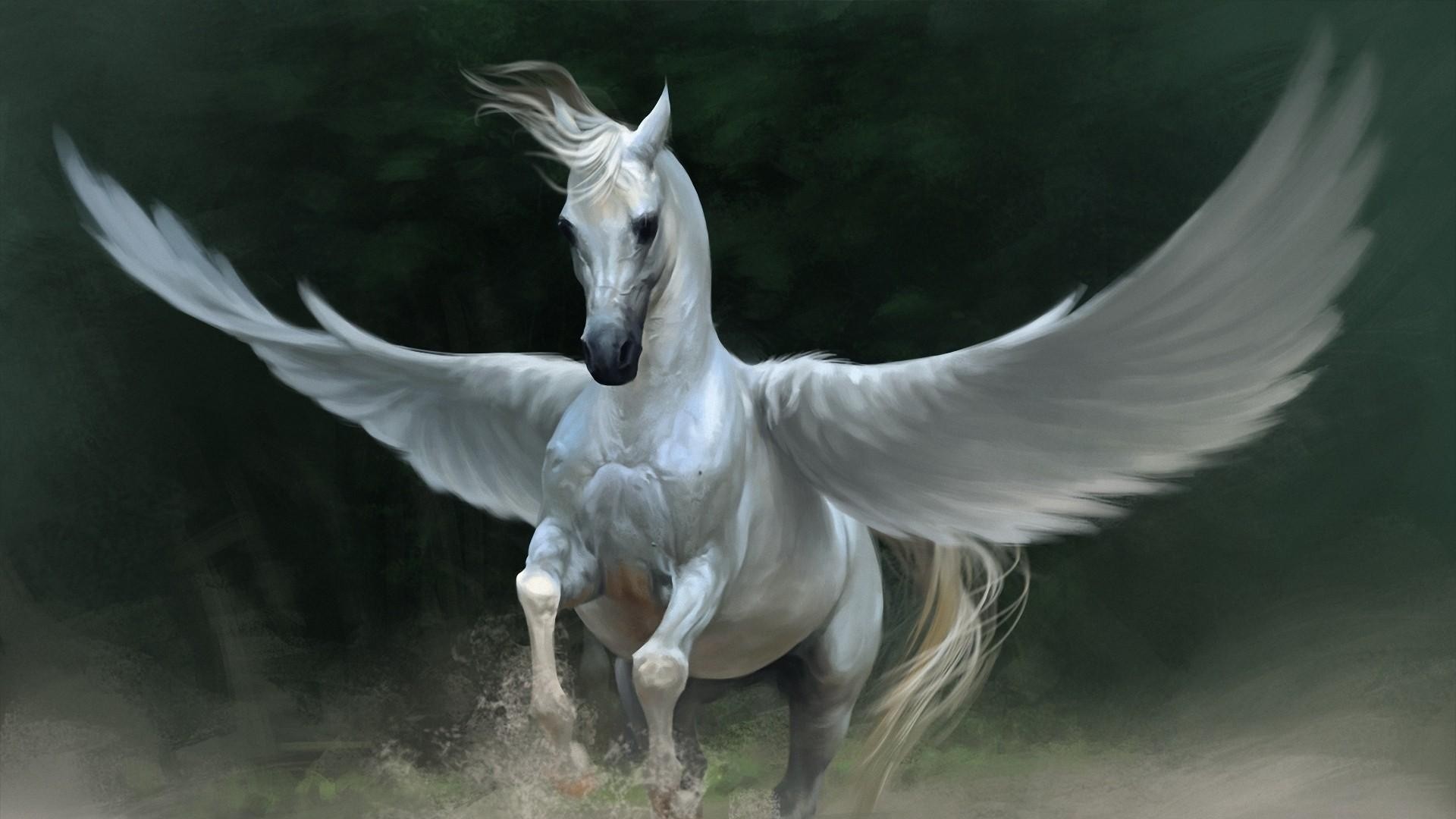 General 1920x1080 animals Pegasus fantasy art horse artwork creature wings