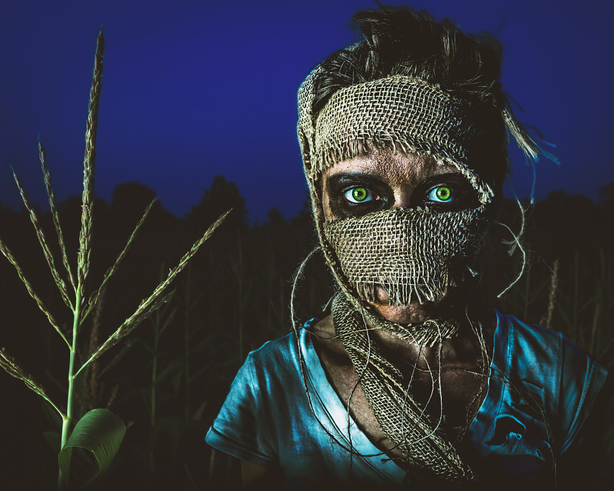 People 2048x1638 horror Bryan McGowan green eyes scarecrows
