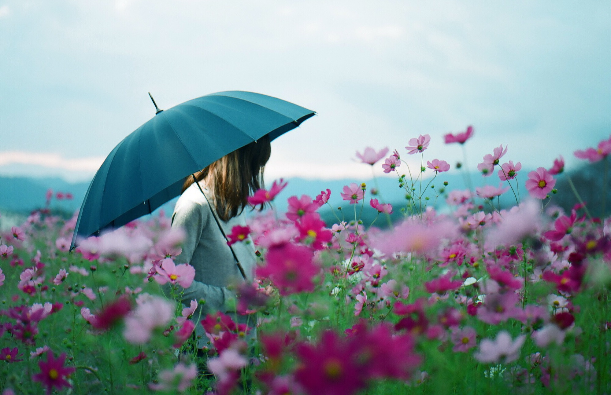 Весенний зонтик. Девушка с зонтом летом. Девушка с летним зонтиком. Фотосессия с зонтом летом. Девушка под зонтом лето.