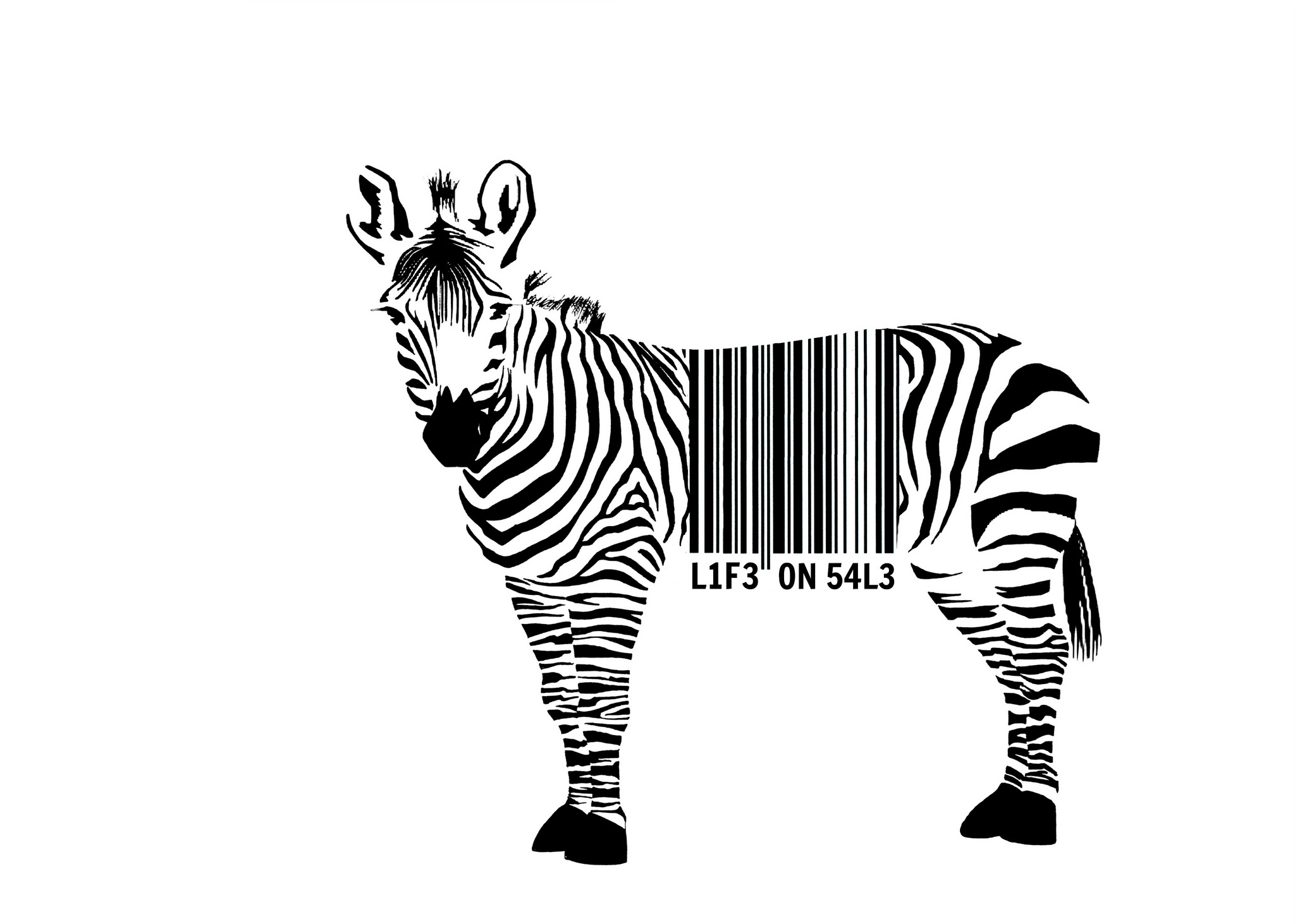General 2048x1463 minimalism barcode zebras monochrome