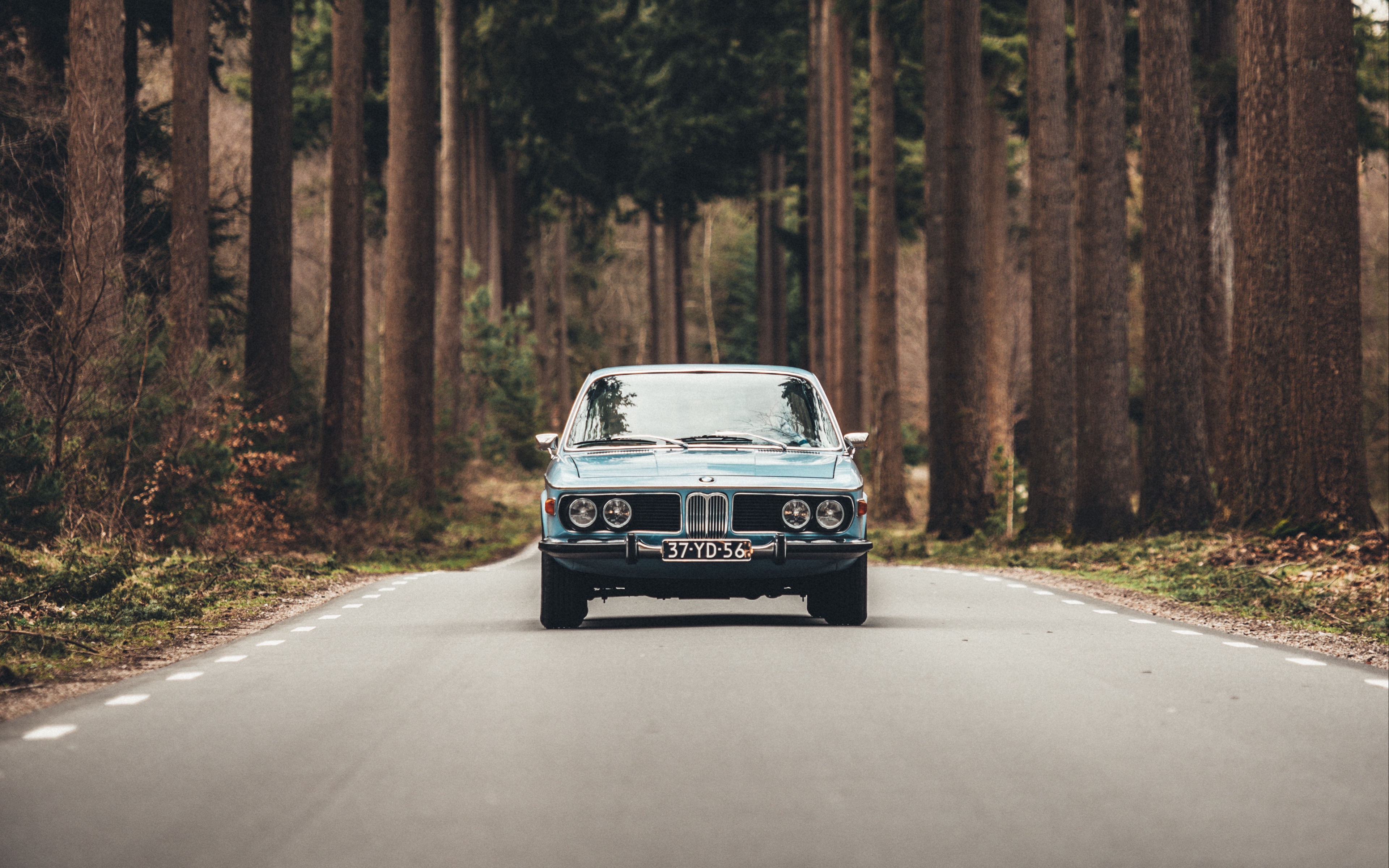 General 3840x2400 car BMW forest road BMW E9 frontal view trees