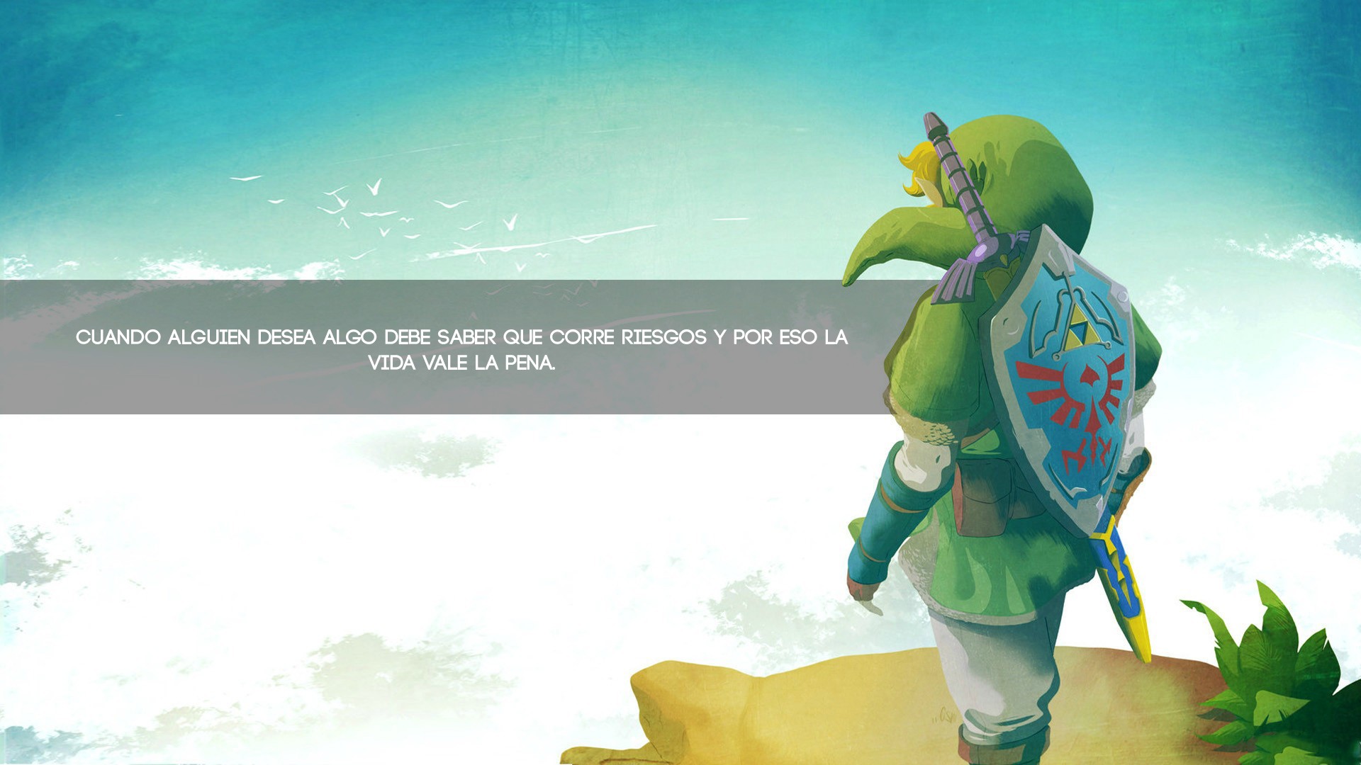 Anime 1920x1080 The Legend of Zelda Link Master Sword Hylian Shield video games video game characters Video Game Heroes