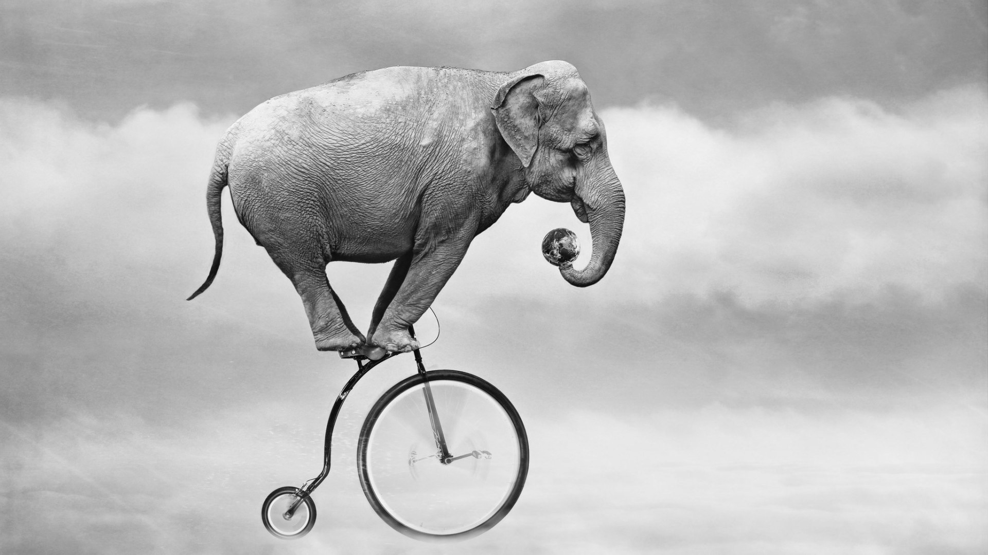 General 1920x1080 animals elephant bicycle humor monochrome clouds motion blur side view profile smoke background vehicle mammals