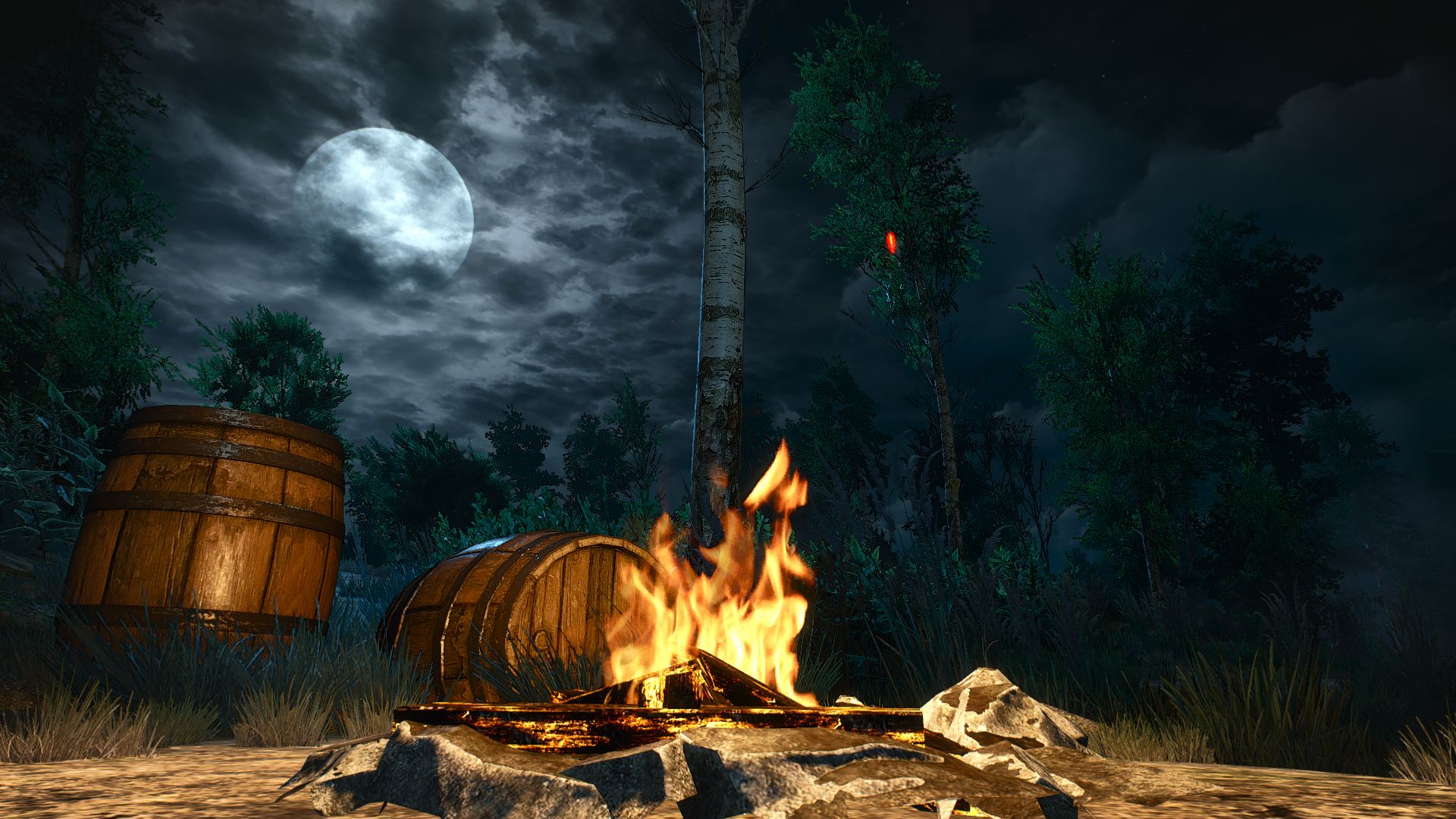 General 1920x1080 The Witcher 3: Wild Hunt video games screen shot campfire RPG PC gaming Moon