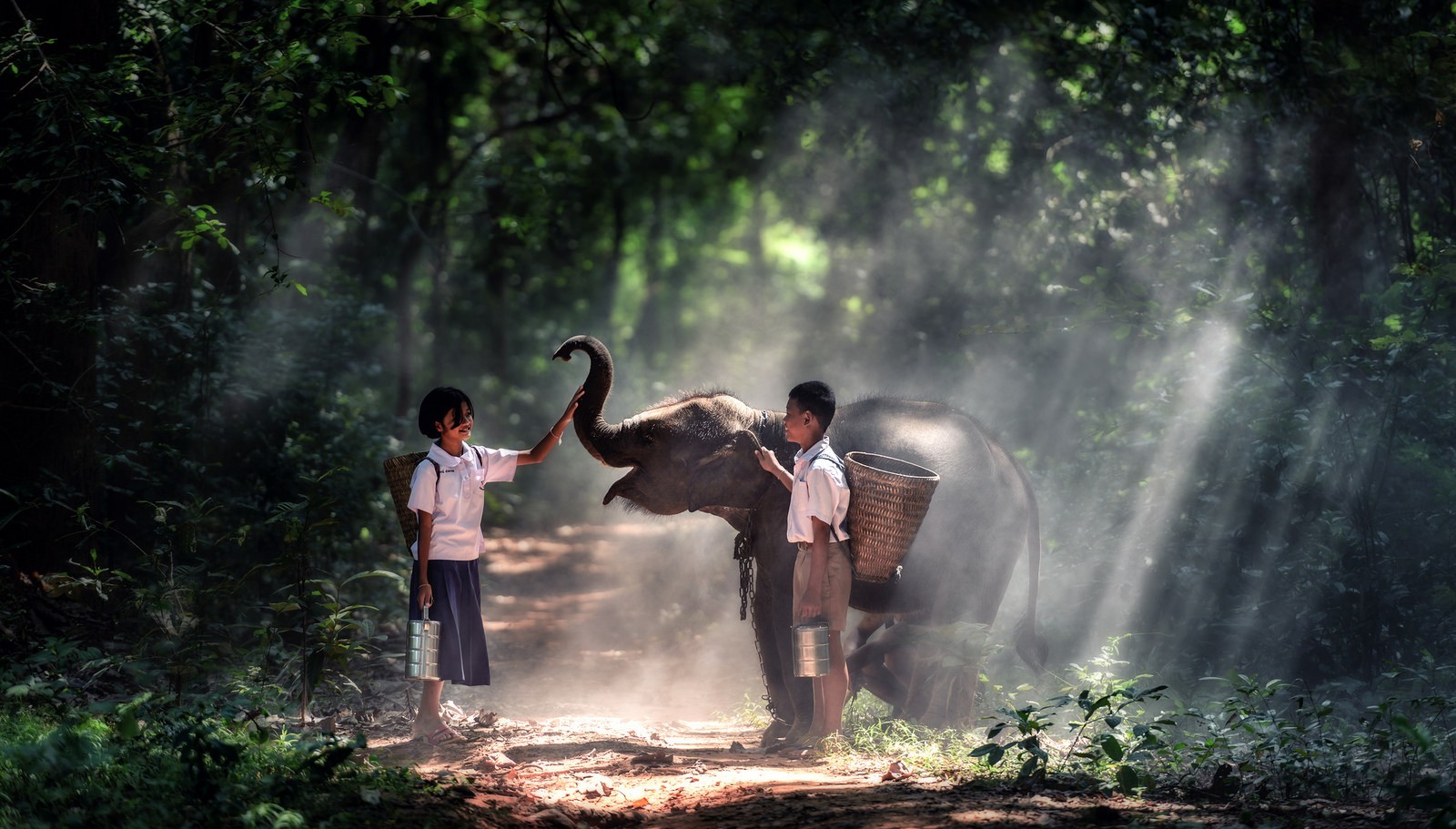 People 1600x911 children Asia elephant forest animals mammals