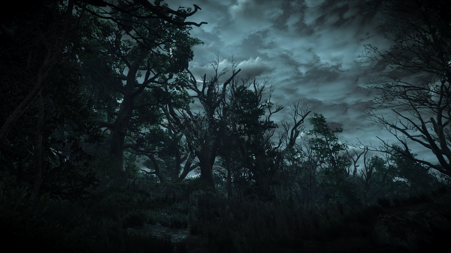 General 1920x1080 The Witcher 3: Wild Hunt video games forest night PC gaming video game landscape screen shot