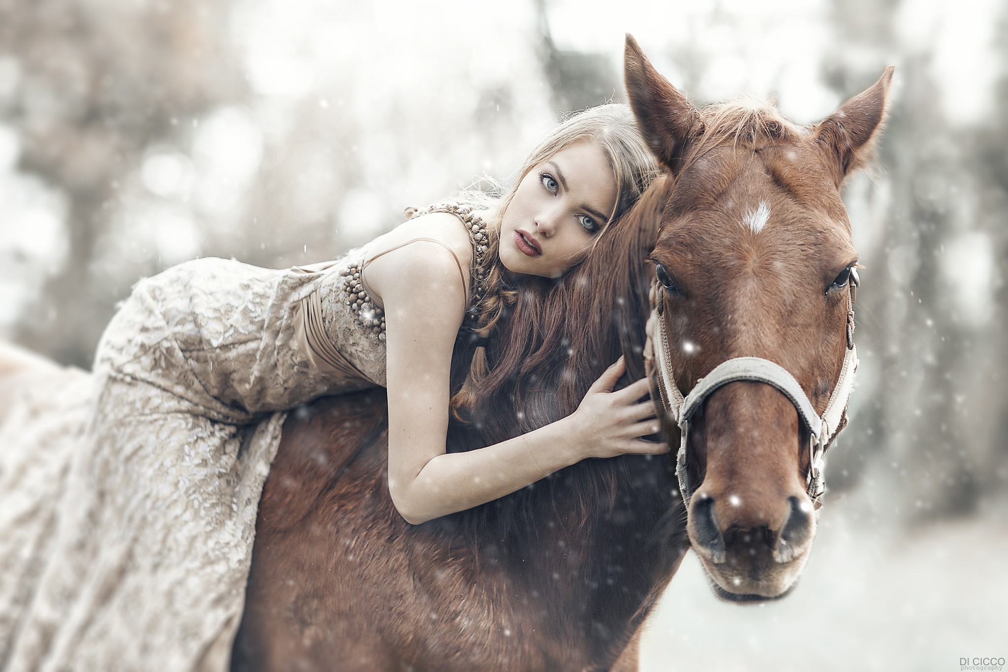 People 2048x1365 women horse snow blue eyes dress braids Alessandro Di Cicco mammals animals makeup red lipstick women outdoors model looking at viewer